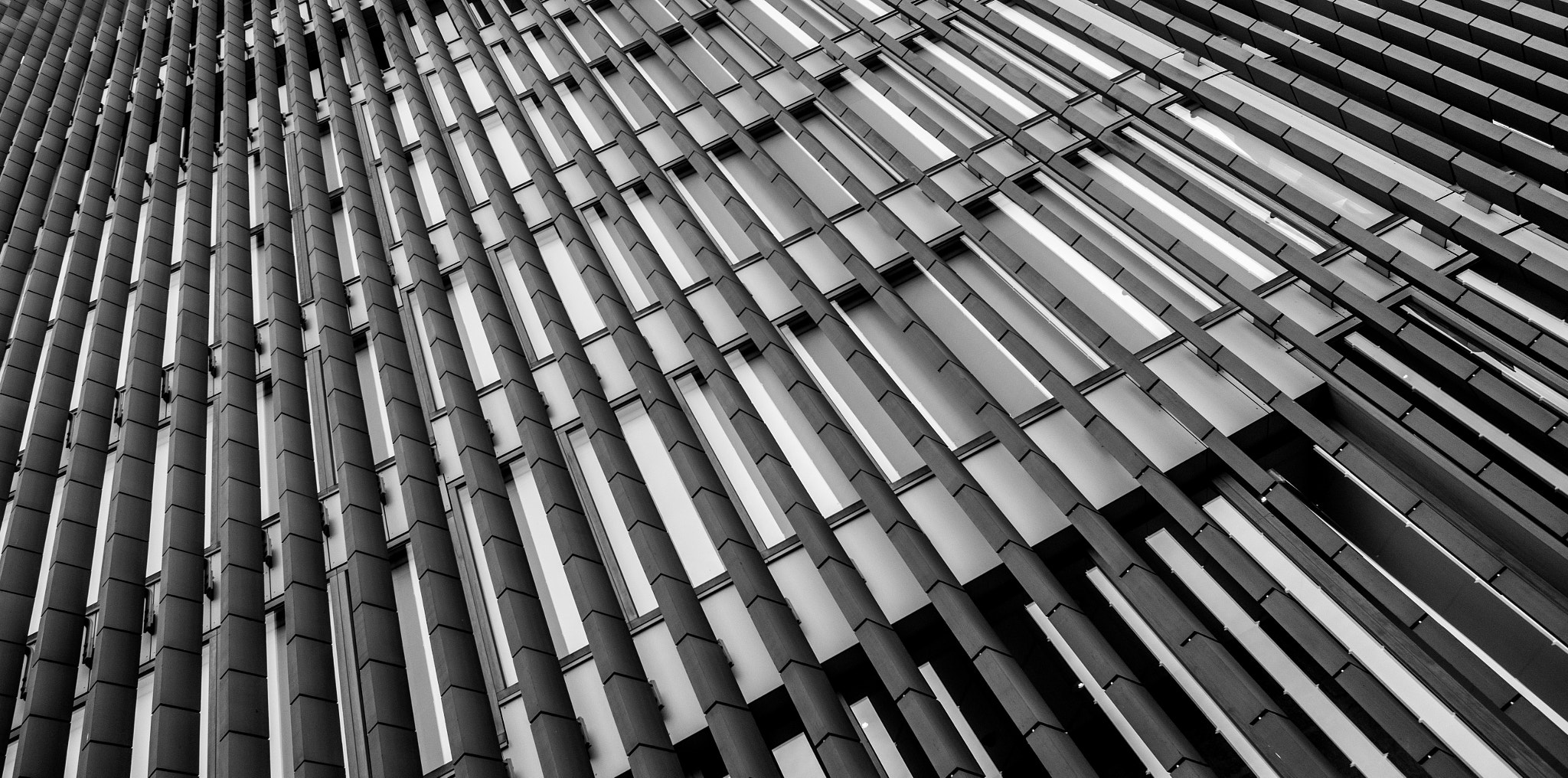 E 21mm F2.8 sample photo. Lines photography