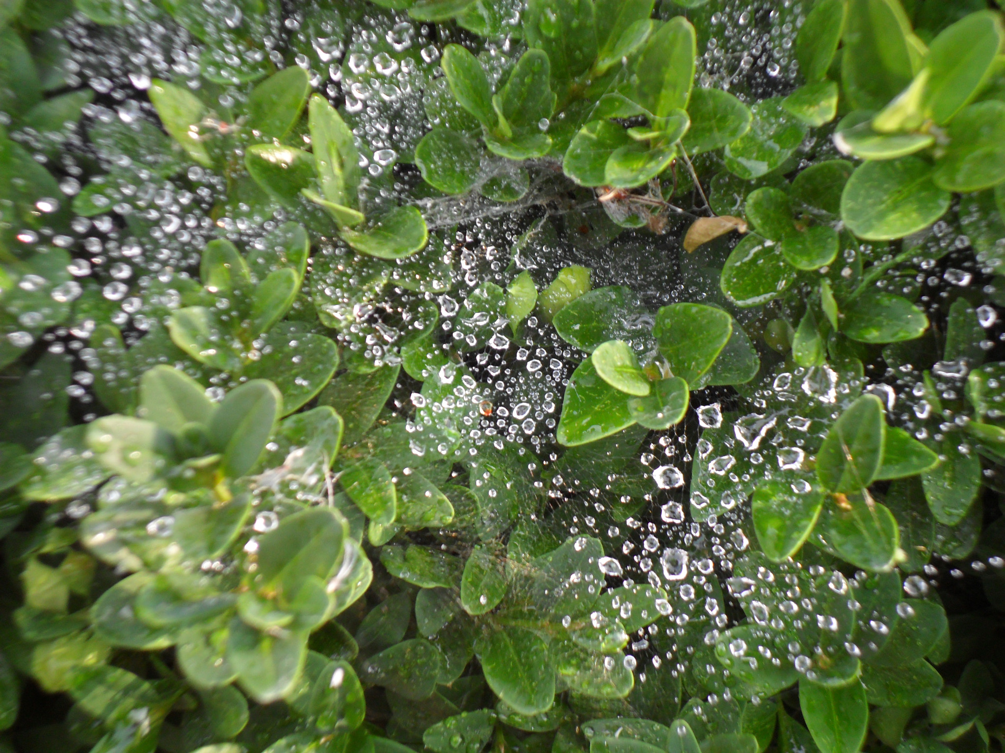 Samsung ES28 / VLUU ES28 sample photo. Sam photography
