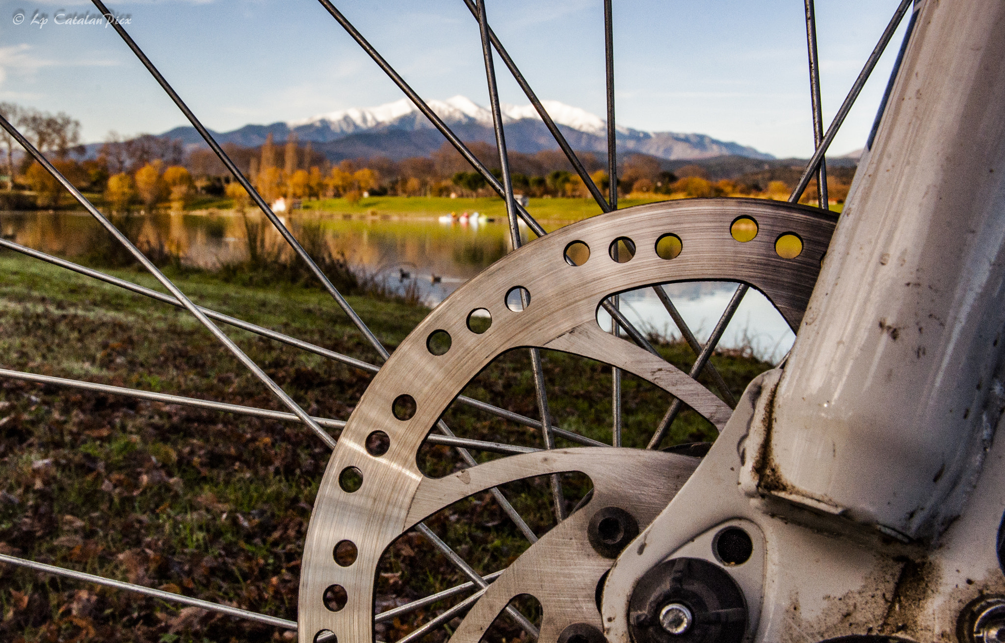 Sigma 17-50mm F2.8 EX DC OS HSM sample photo. Vtt photography