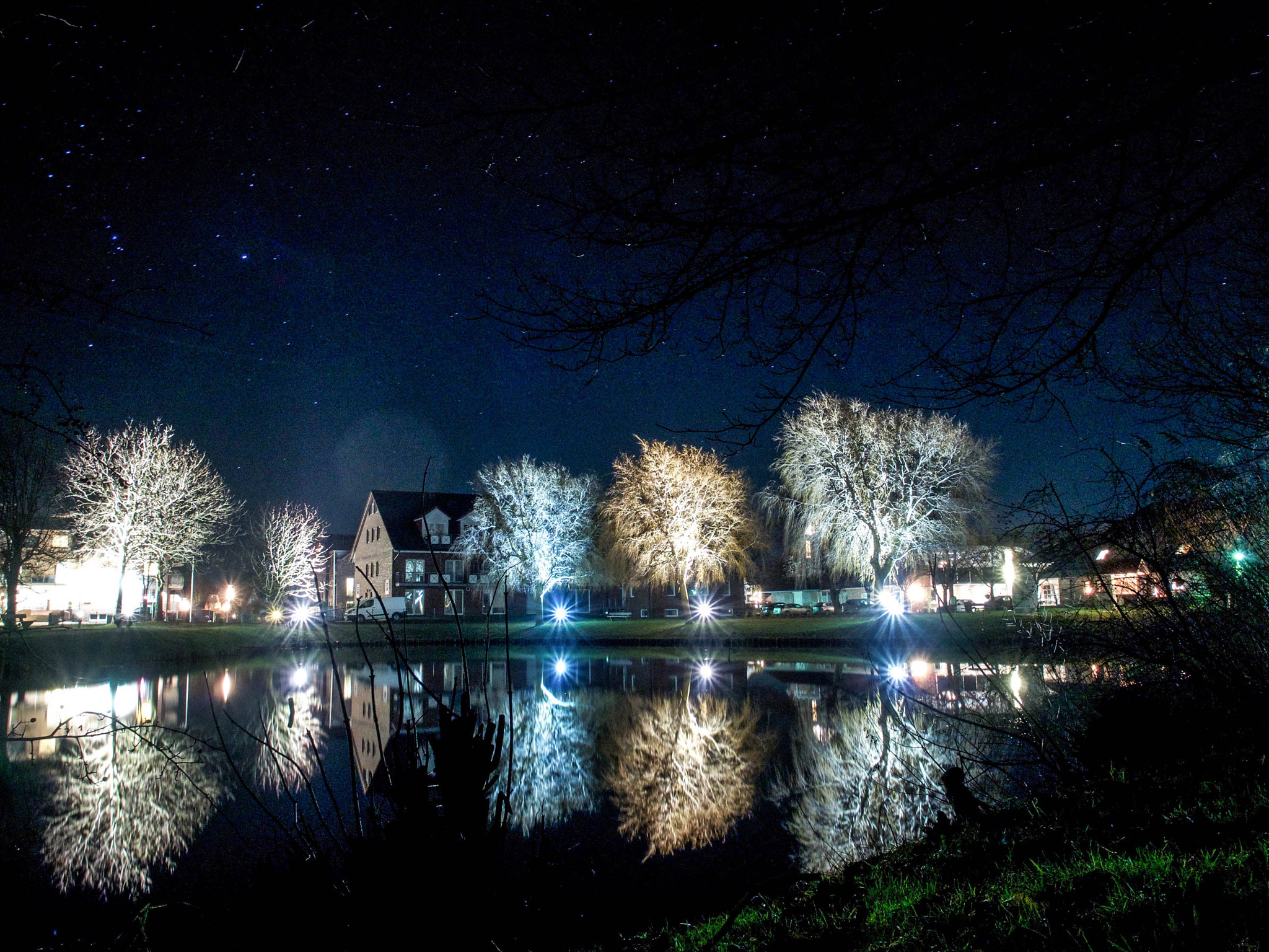 Olympus OM-D E-M5 II + OLYMPUS M.12mm F2.0 sample photo. A play of colors in the trees photography