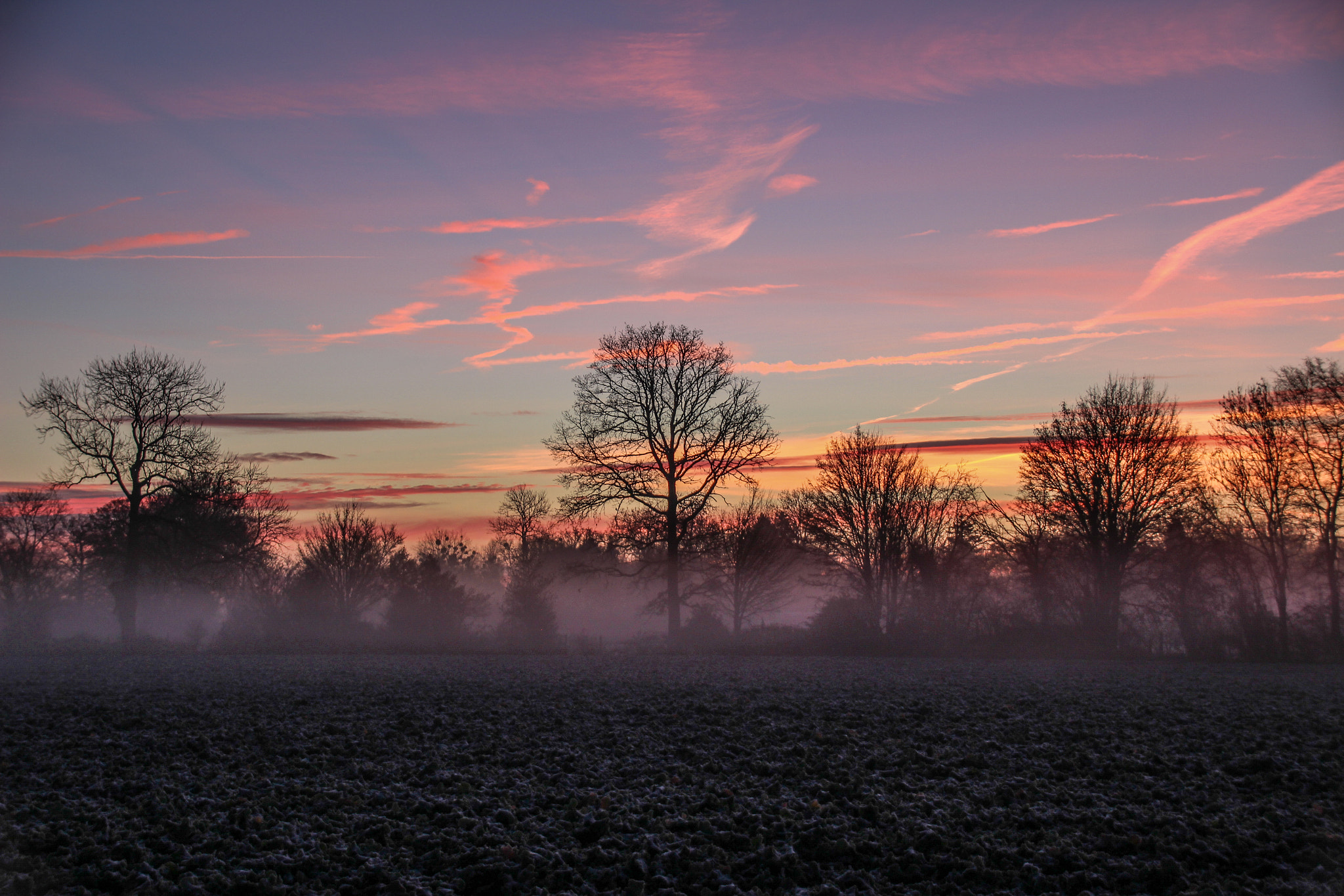 Canon EOS 100D (EOS Rebel SL1 / EOS Kiss X7) sample photo. Sunrise in the fog 2 photography