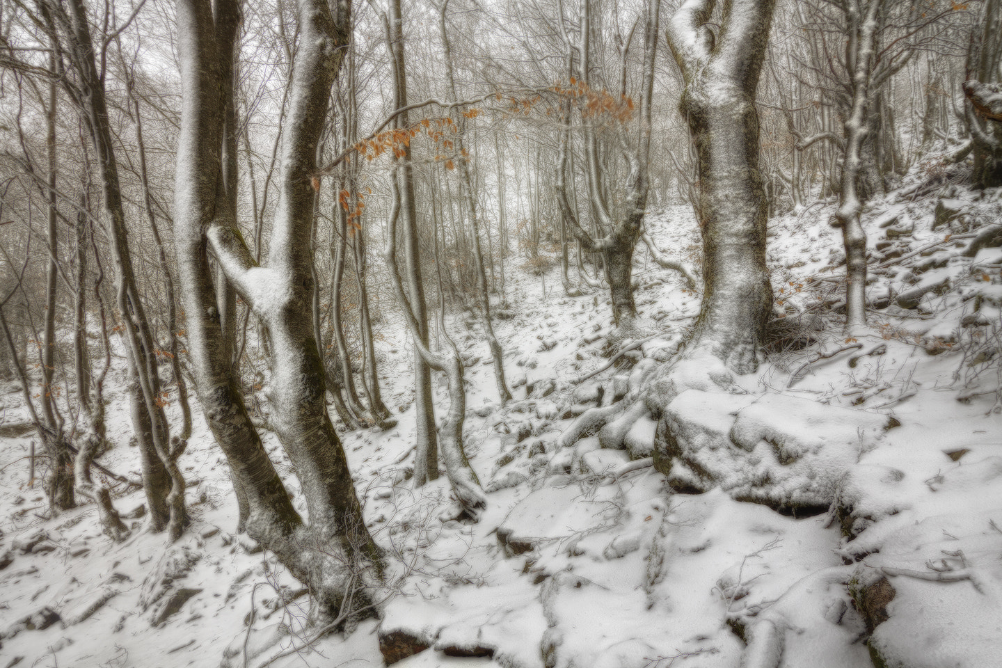 Canon EOS 50D sample photo. Rincones photography