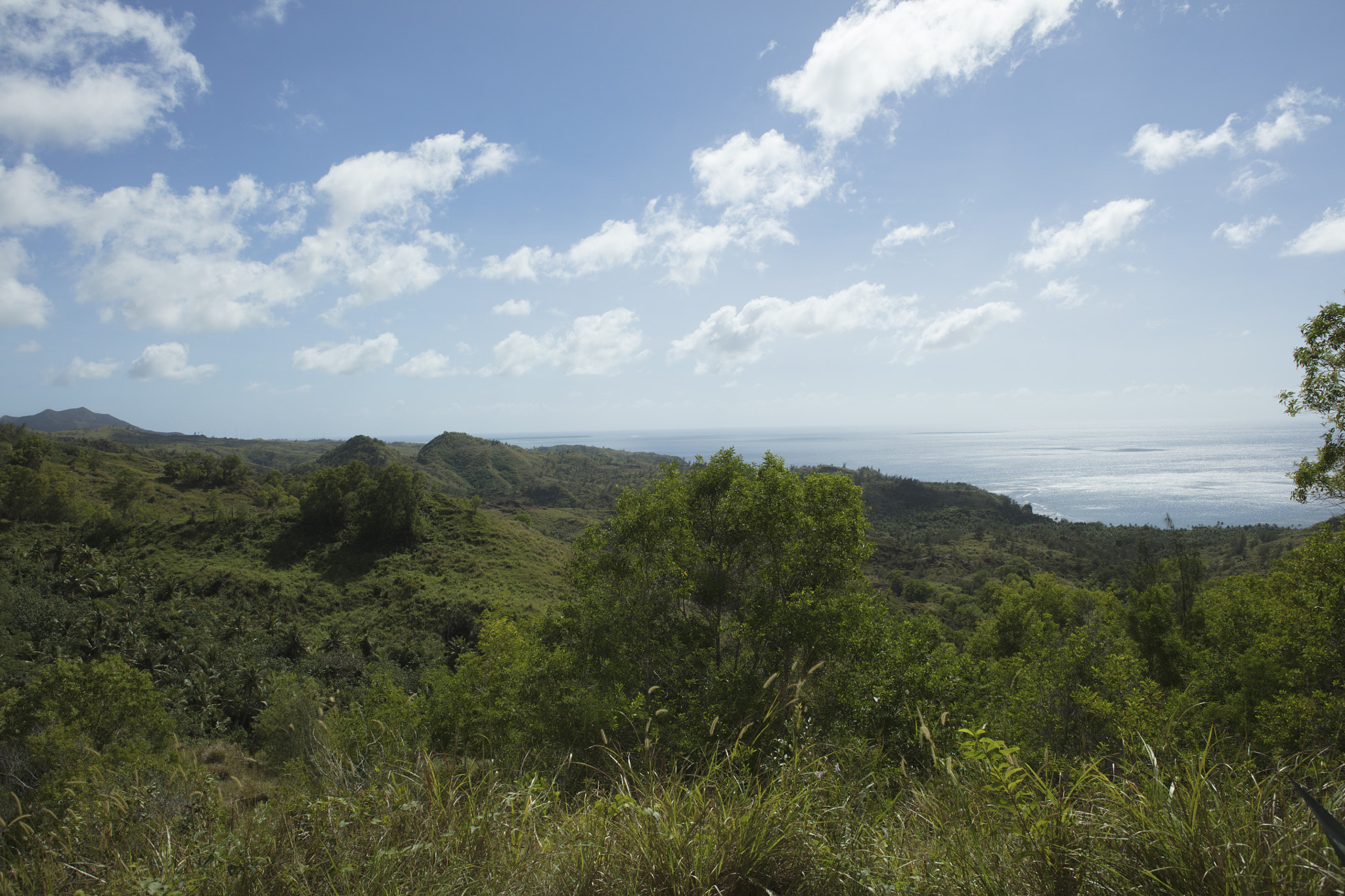 Canon EOS 5DS R sample photo. _45a0766-2.jpg photography