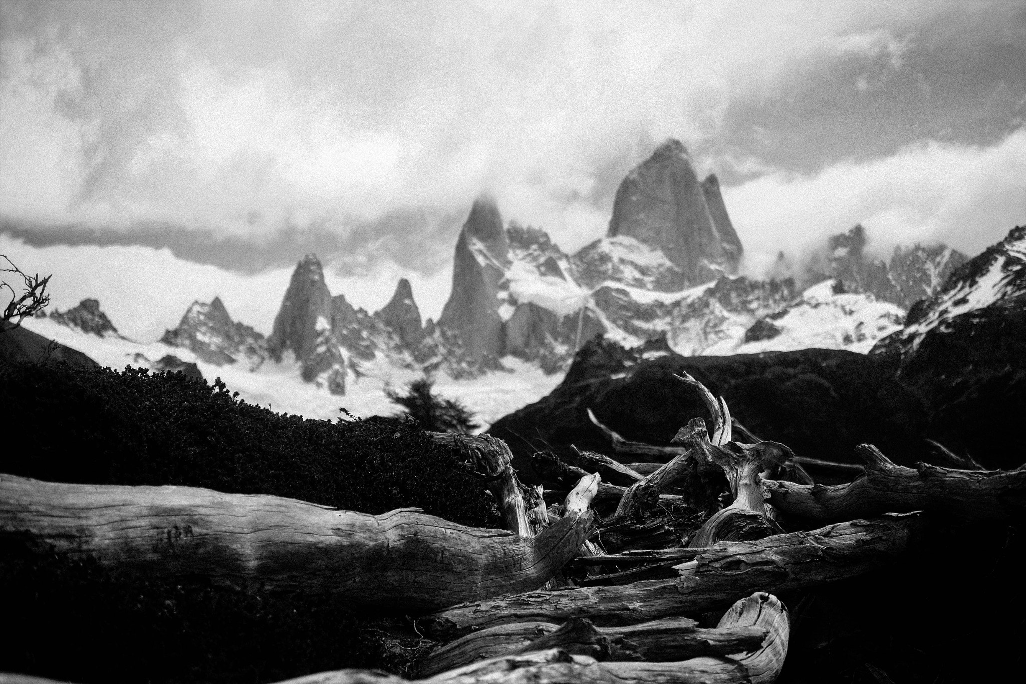 Fujifilm X-M1 + Fujifilm XF 27mm F2.8 sample photo. Patagonian logs photography