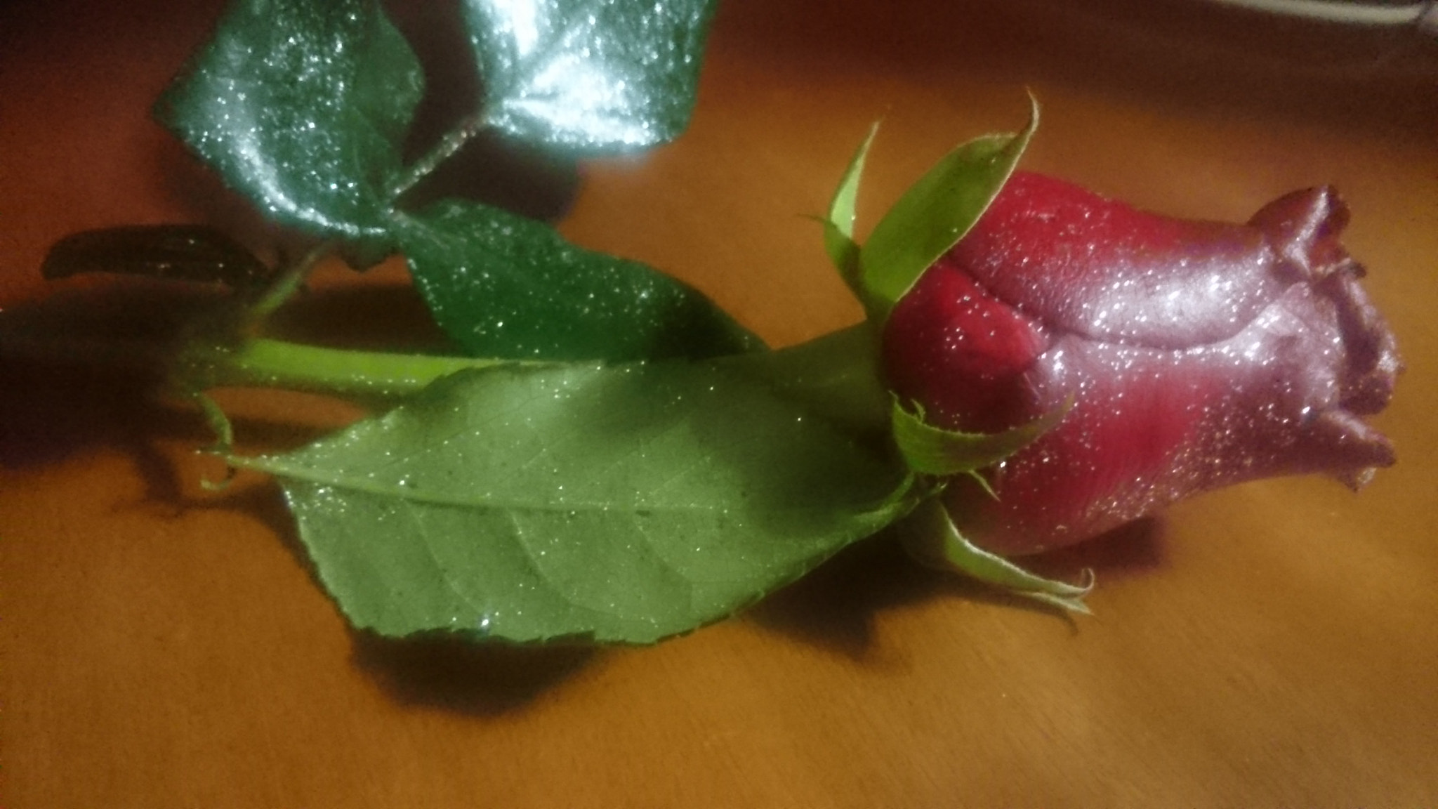 Sony Xperia Z Ultra sample photo