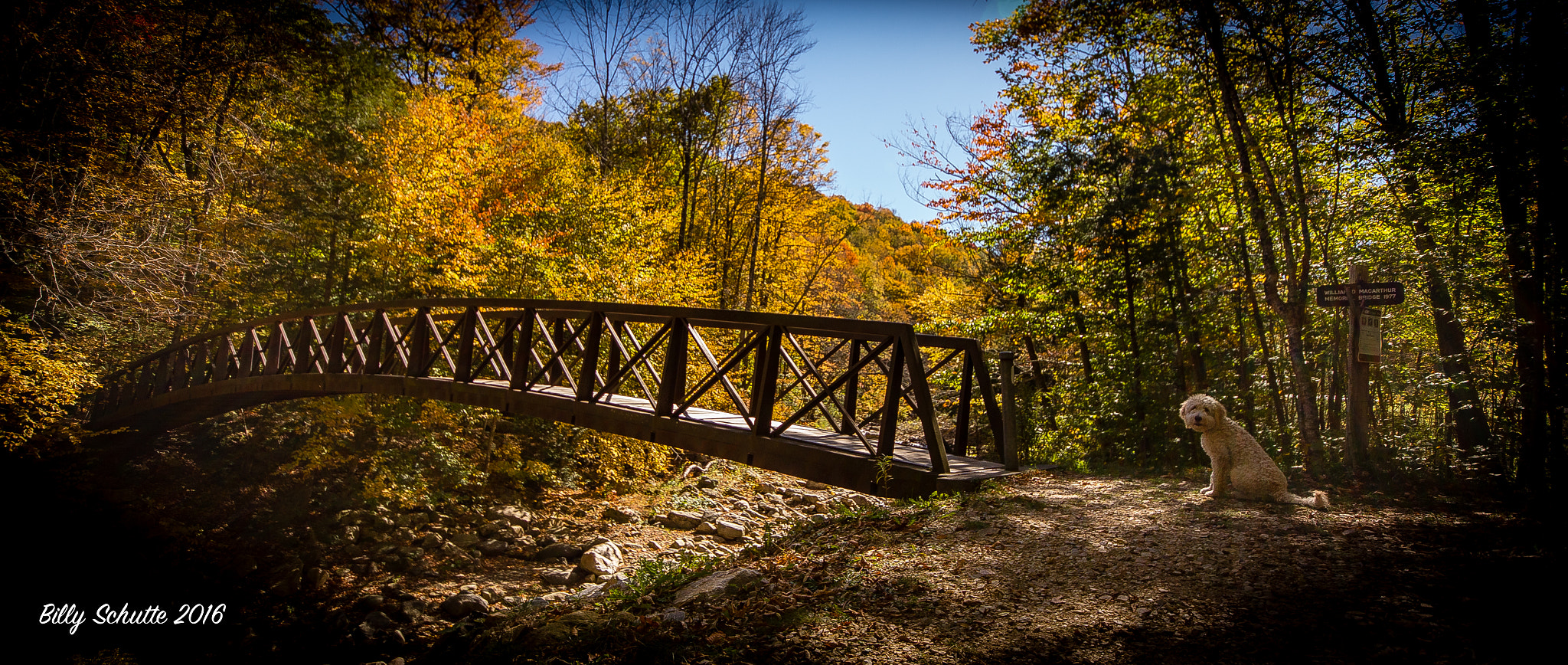 Canon EOS 6D + Sigma 10-20mm F4-5.6 EX DC HSM sample photo. This bridge boss photography