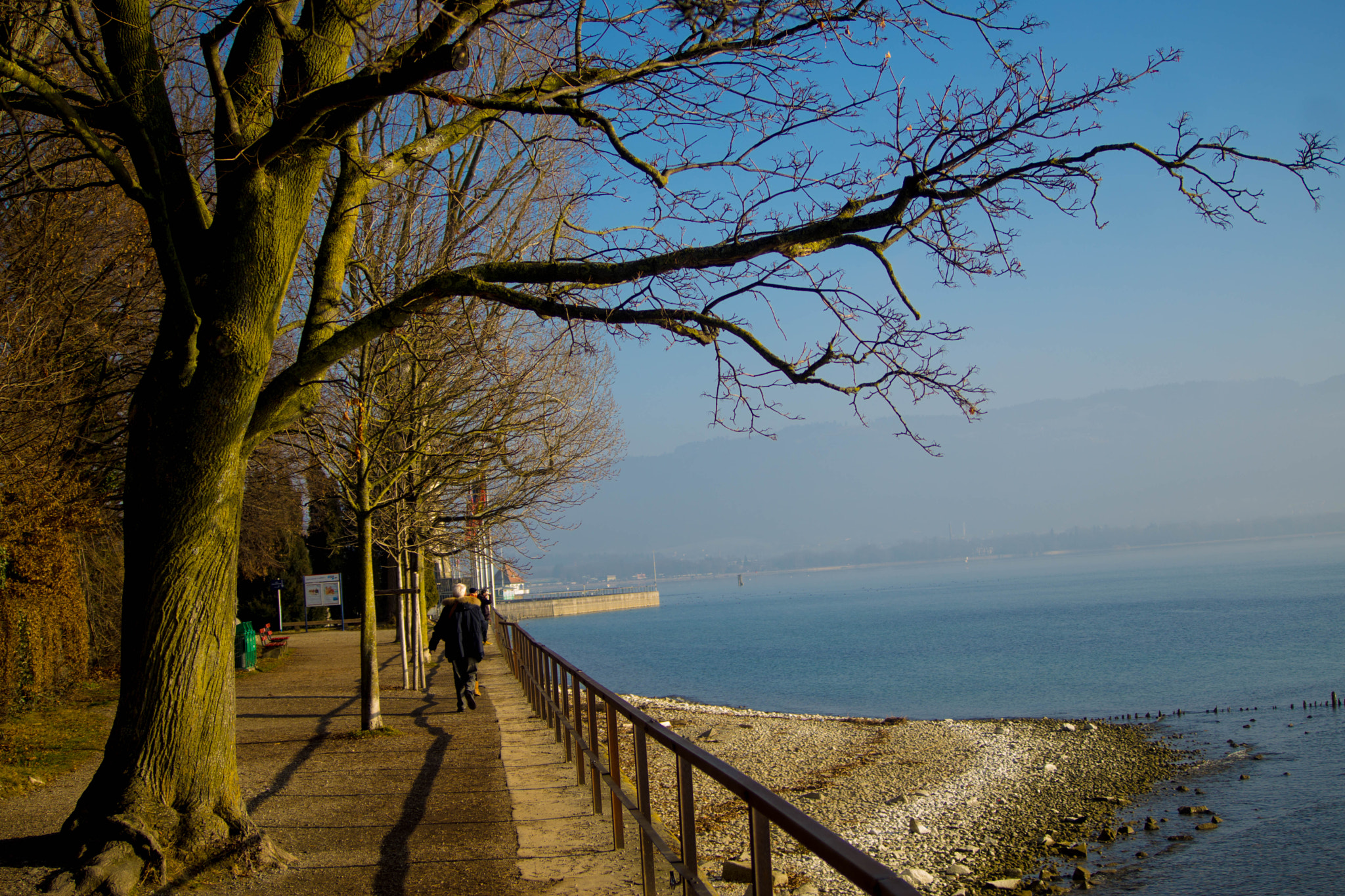 Minolta AF 35-105mm F3.5-4.5 sample photo. Luitpoldpark photography