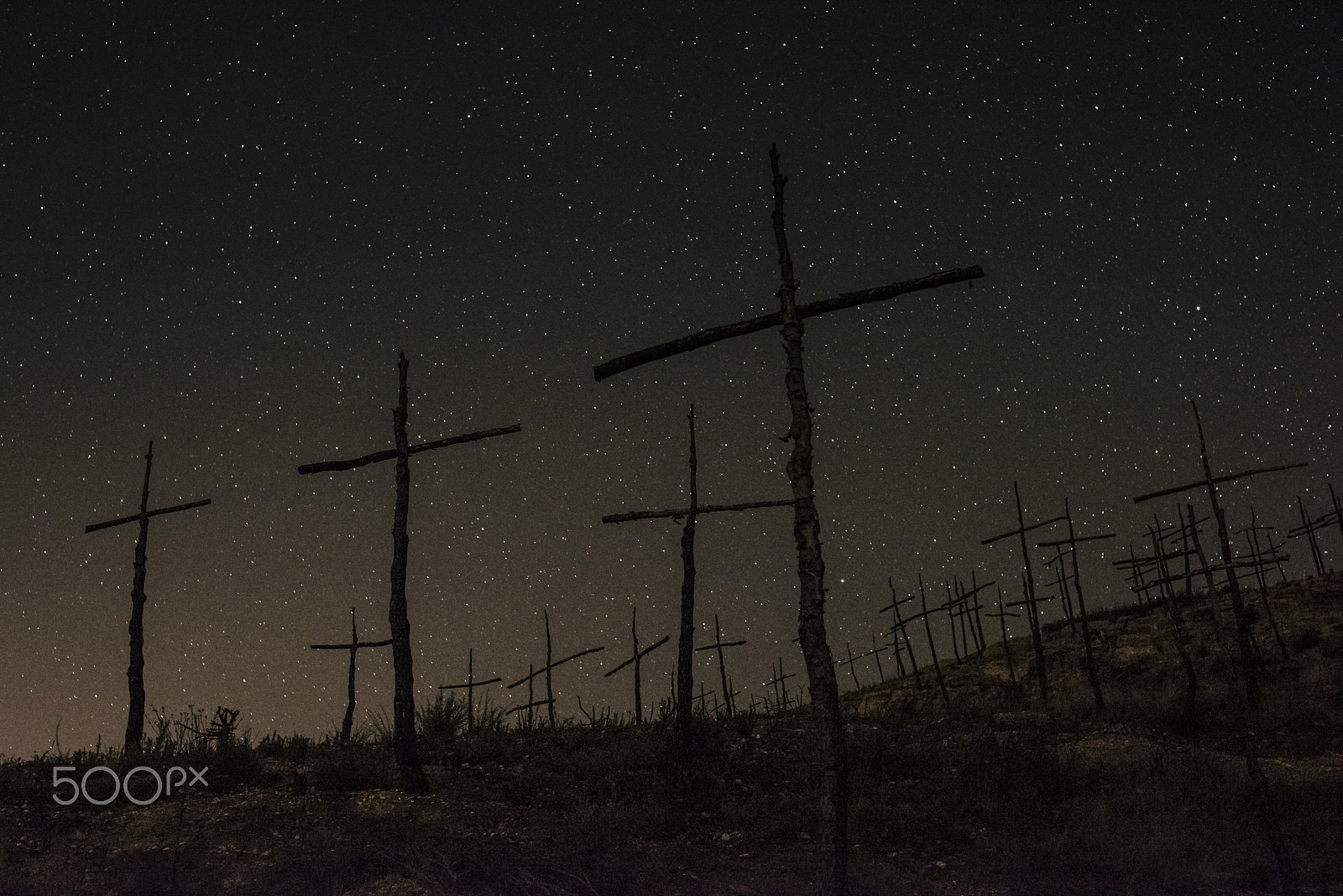 Nikon D810 + Sigma 50mm F1.4 EX DG HSM sample photo. El bosc de les creus photography