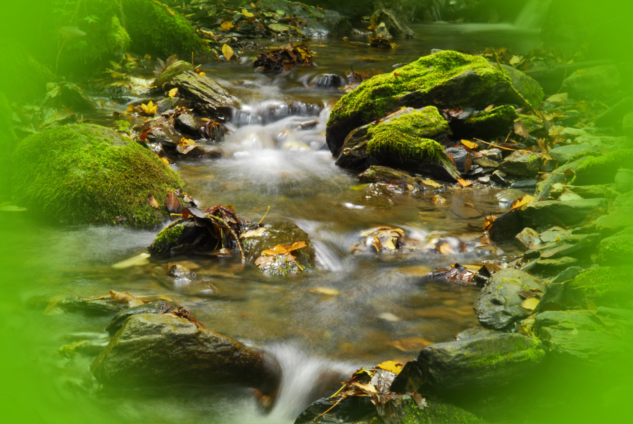 Nikon D200 sample photo. A photography