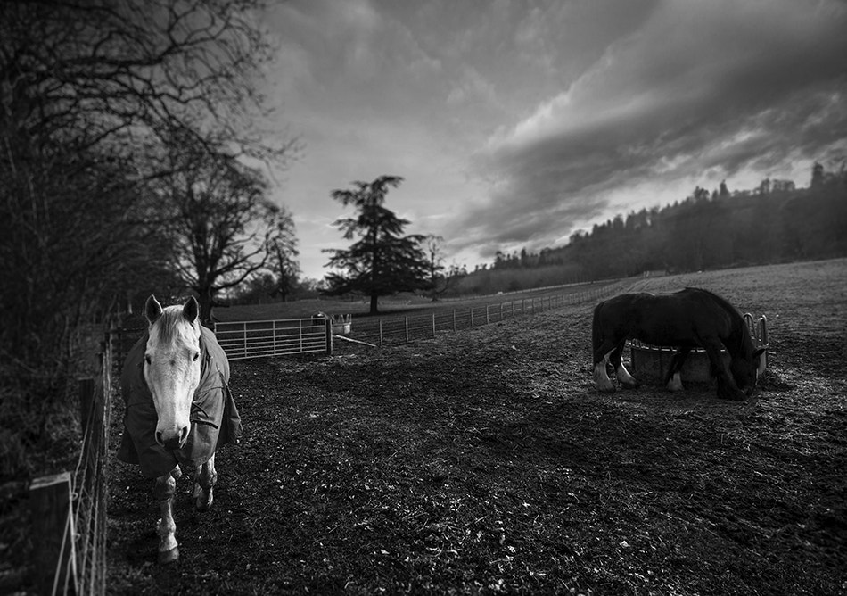 Canon EOS 50D + Sigma 10-20mm F4-5.6 EX DC HSM sample photo. .......... photography