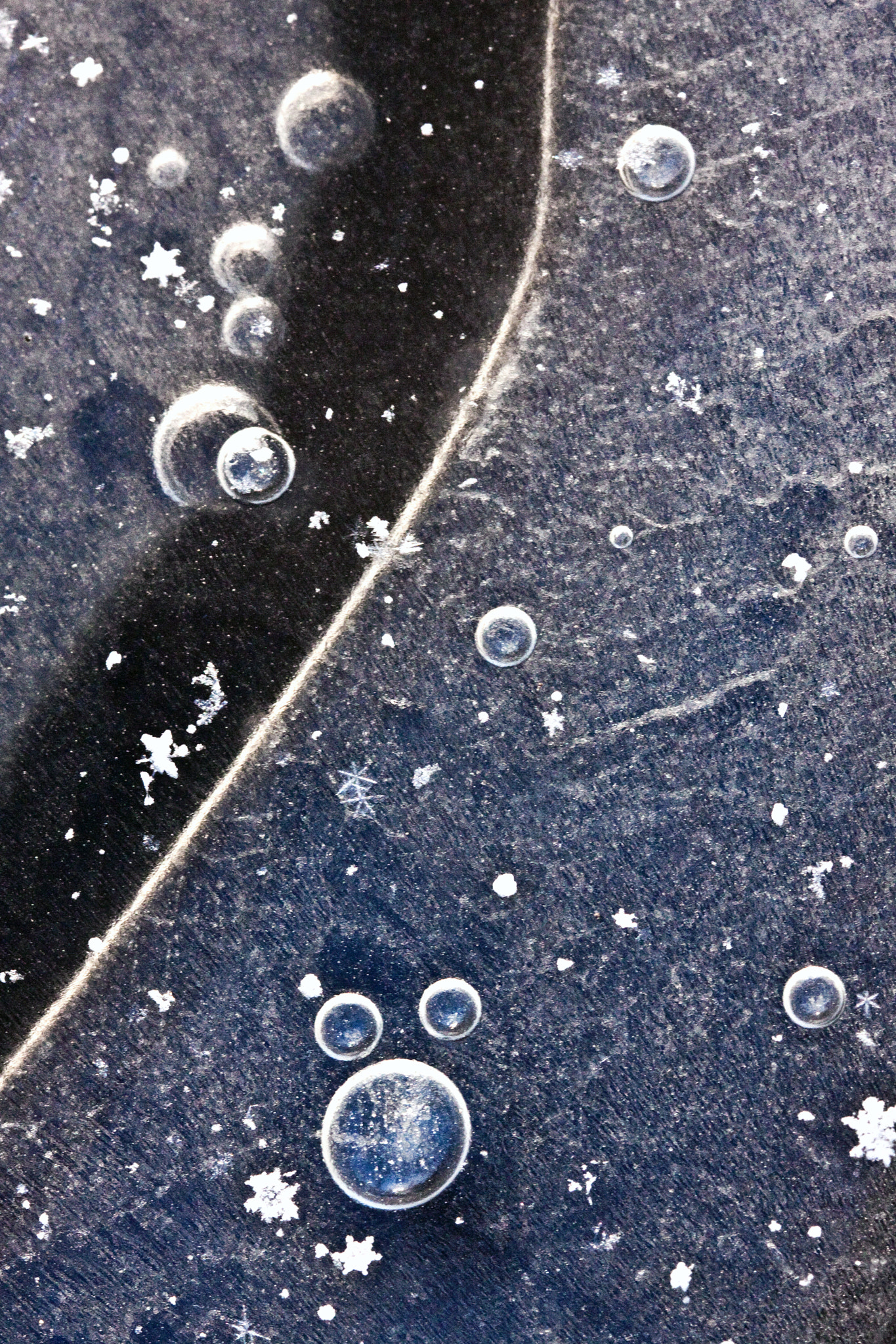 Canon EF 100mm F2.8 Macro USM sample photo. Les planètes (planets) photography