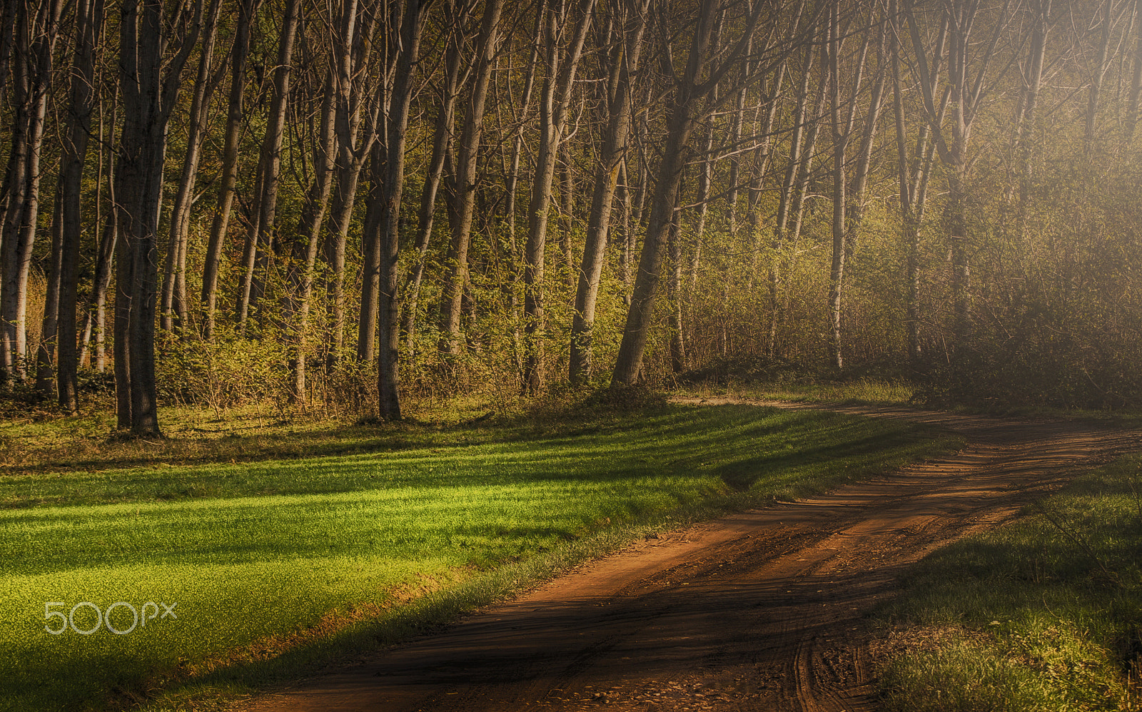 Canon EF 75-300mm F4.0-5.6 IS USM sample photo. Road to nowhere photography