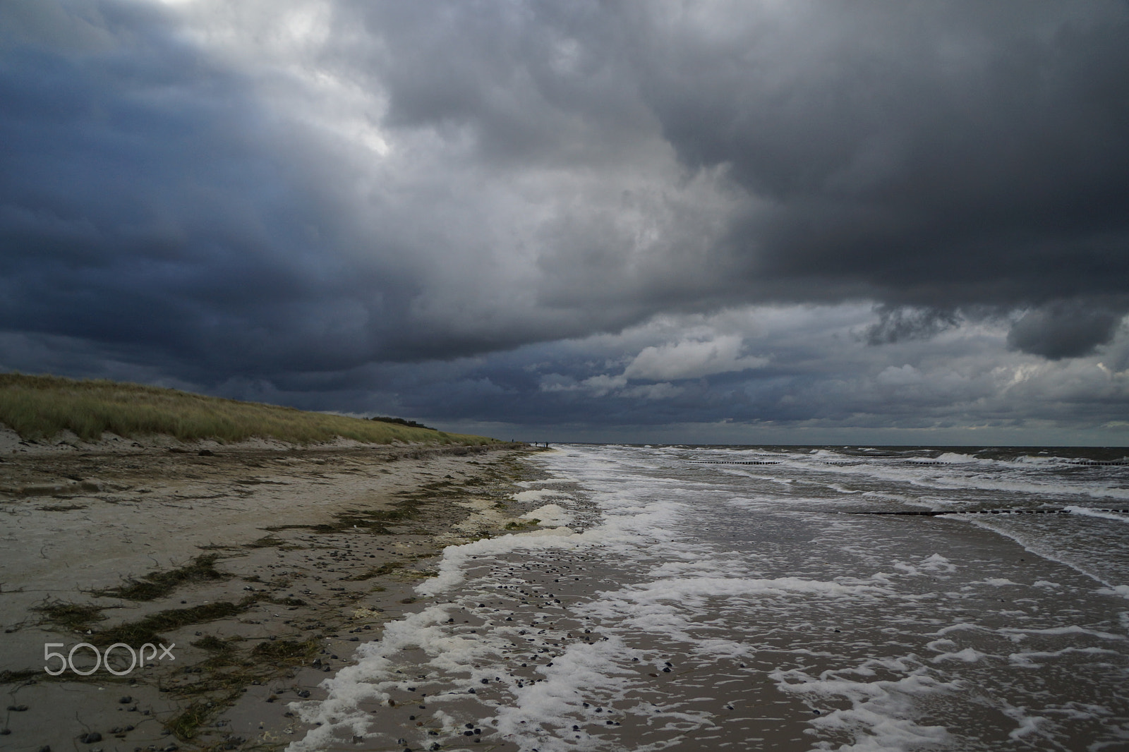 Sony SLT-A65 (SLT-A65V) sample photo. Fischland darss vii photography