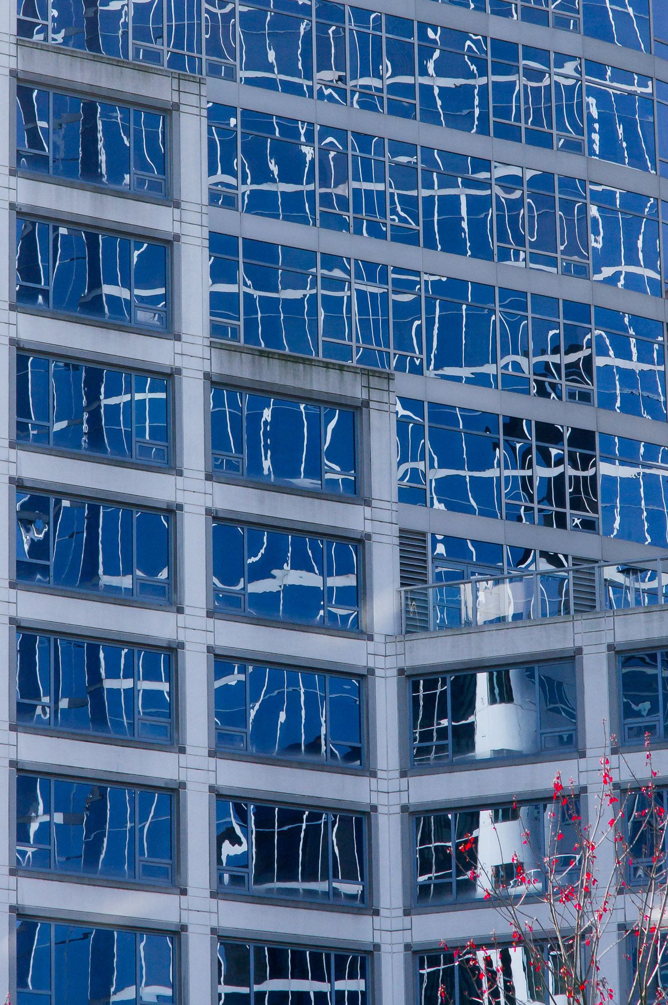 Sony Alpha DSLR-A580 sample photo. Vancouver photography
