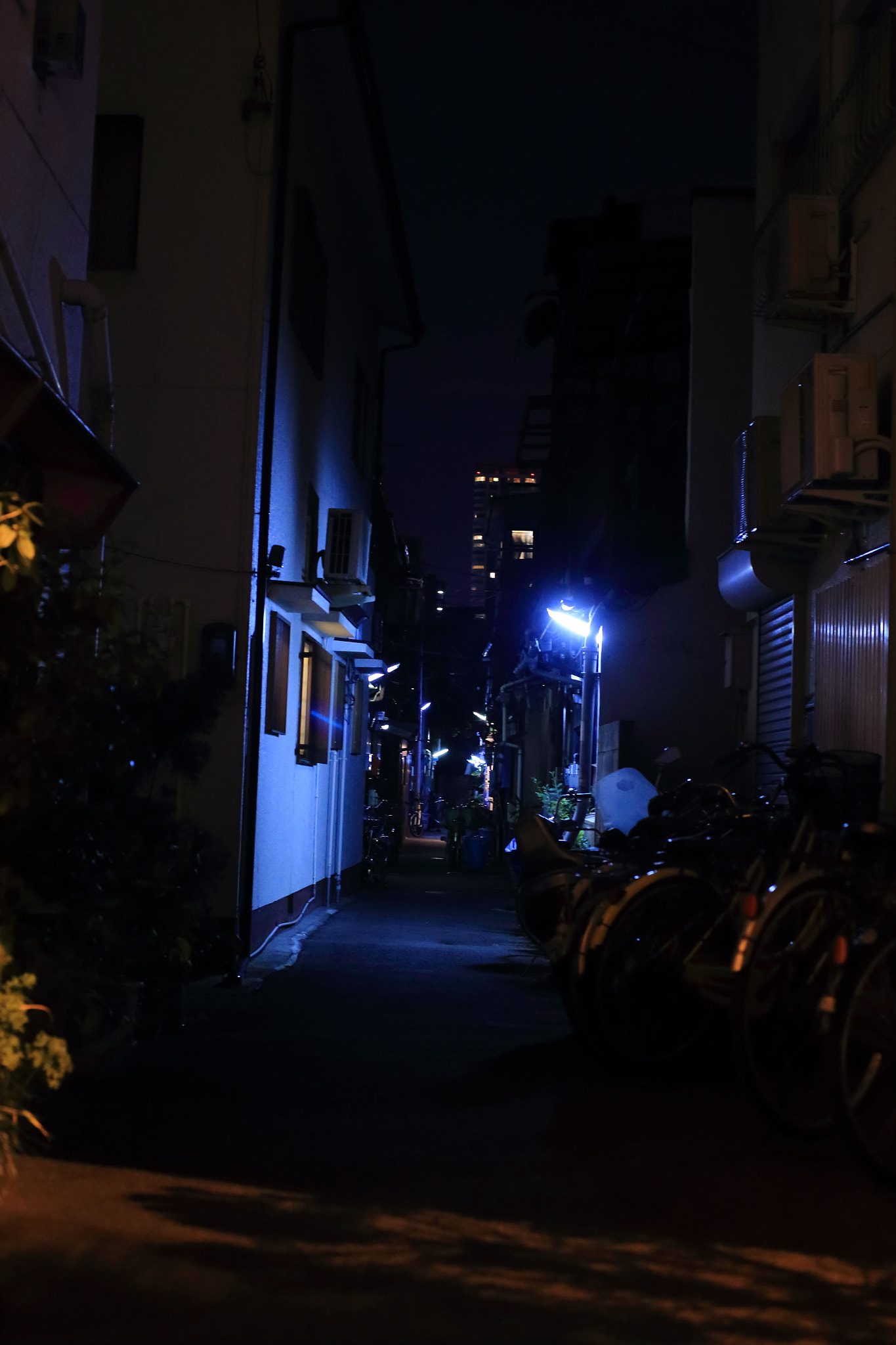 ZEISS Planar T* 50mm F1.4 sample photo. 闇 photography