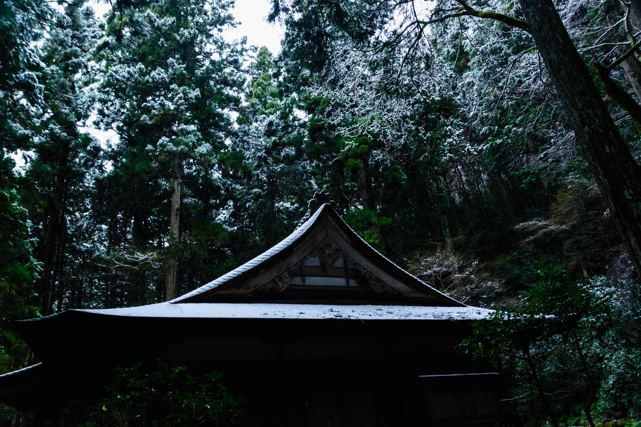 Nikon D5200 + Sigma 18-200mm F3.5-6.3 II DC OS HSM sample photo. 雪化粧した高山寺金堂 photography