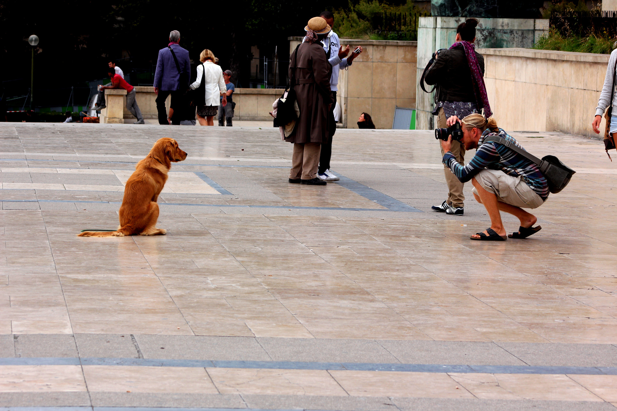 Canon EF 90-300mm F4.5-5.6 sample photo. Who is the master ?  photography