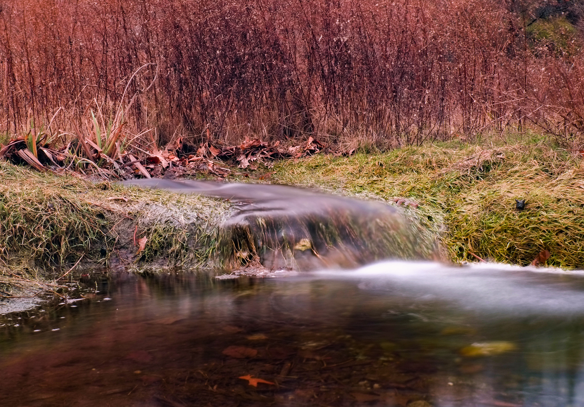 Fujifilm X-E1 + Fujifilm XF 18-135mm F3.5-5.6 R LM OIS WR sample photo. Tiny little stream photography