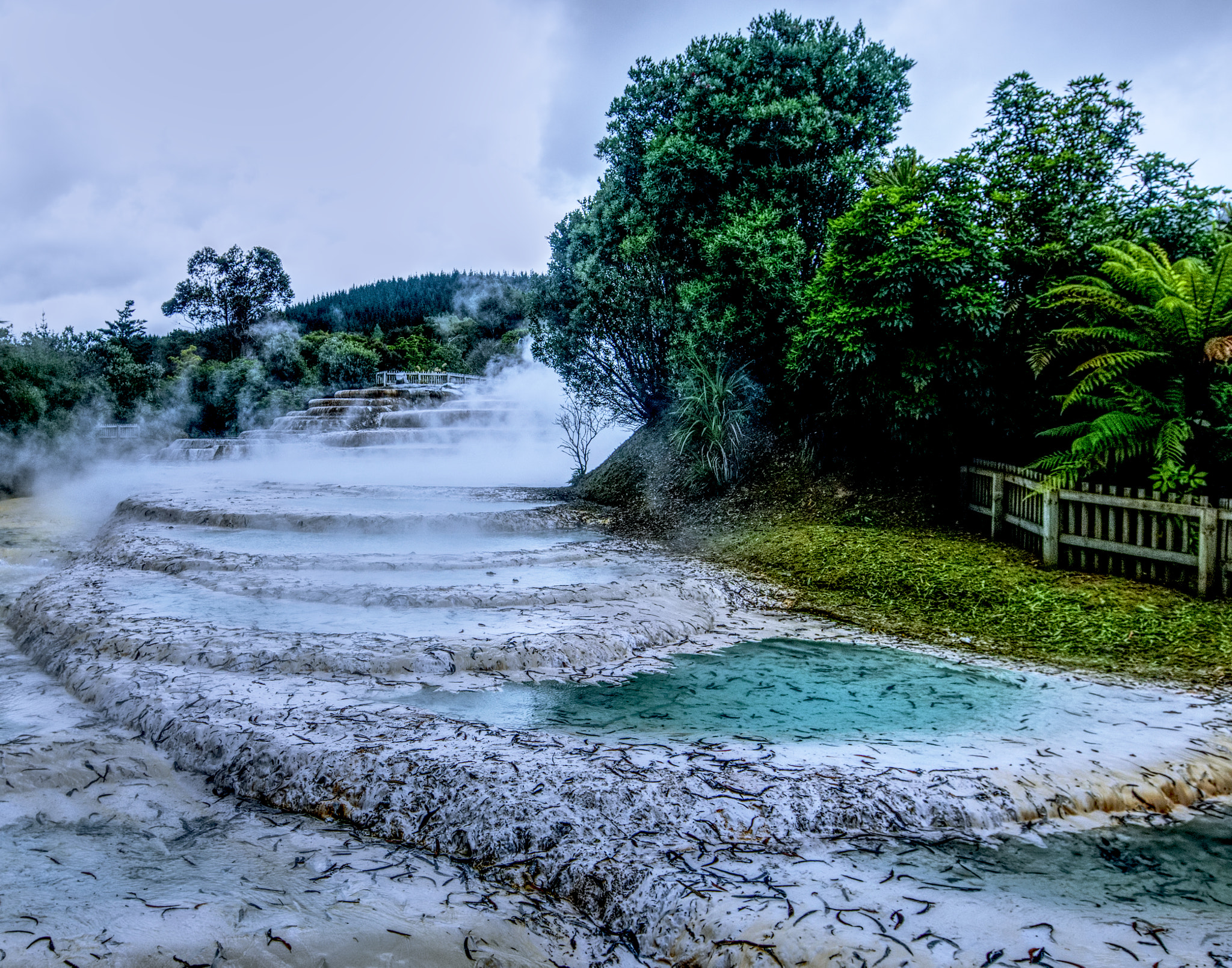Canon EF 16-35mm F2.8L II USM sample photo. Wairakei terraces photography