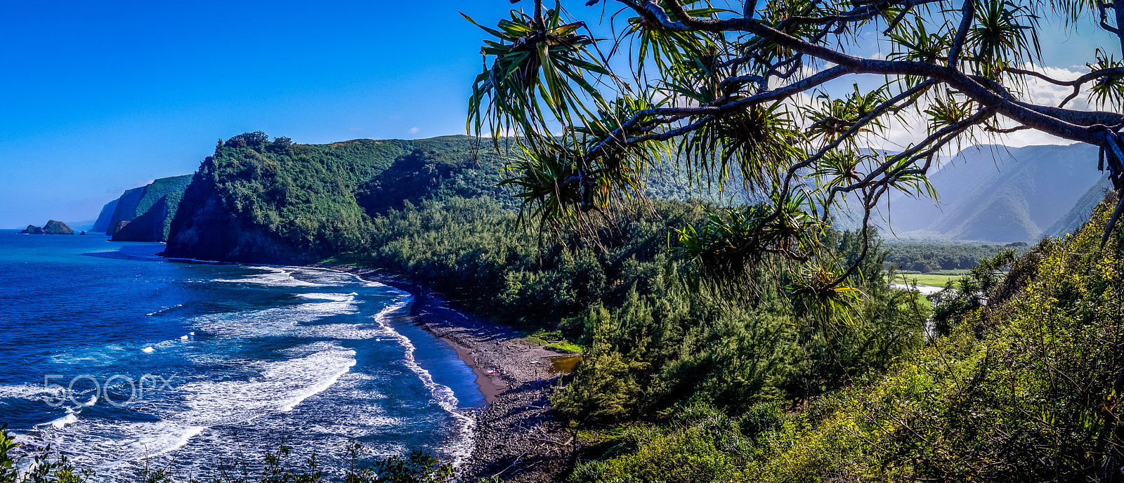 Sony SLT-A37 sample photo. Pololu valley hawaii panorama photography