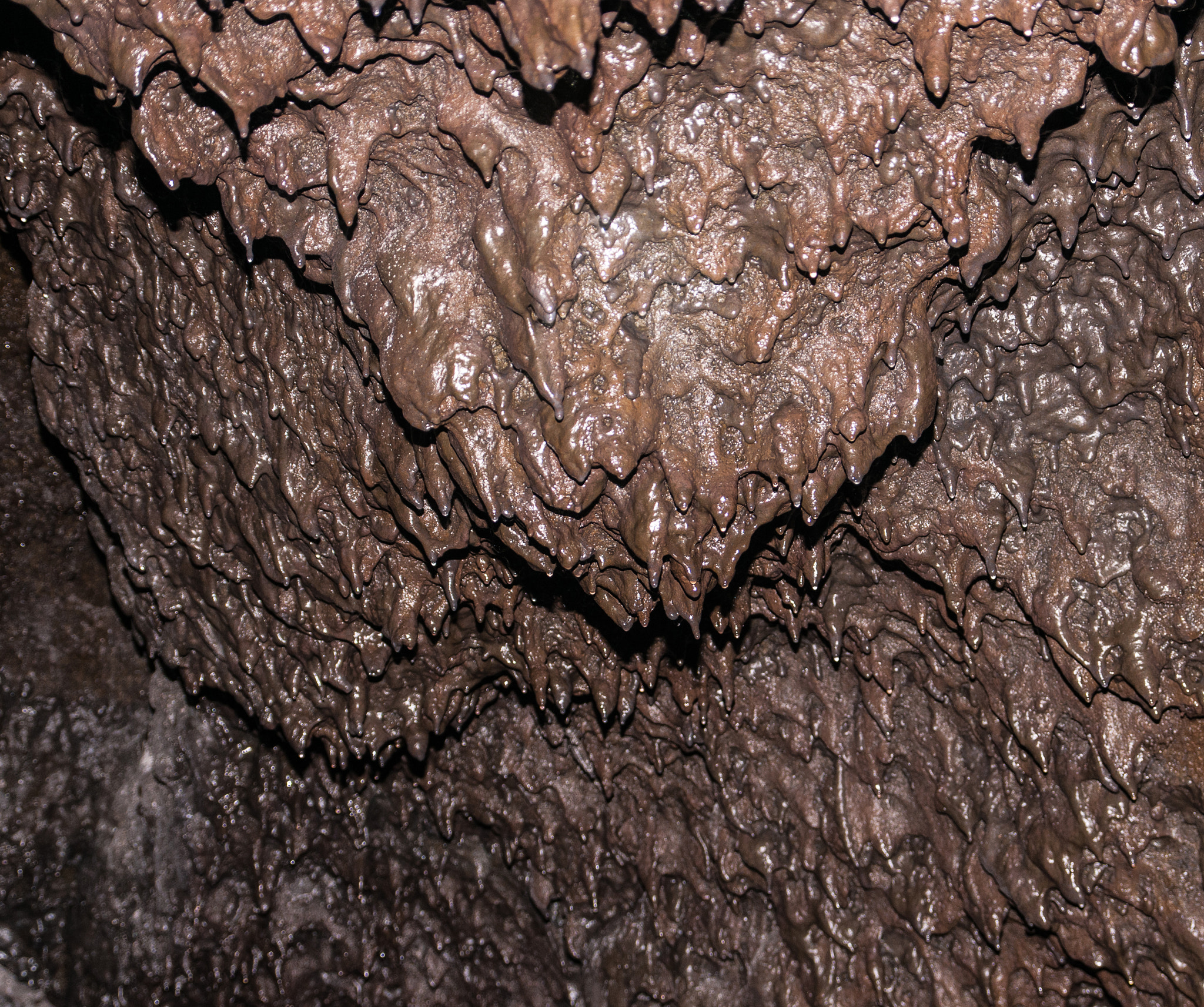 Nikon D300S + Sigma 17-70mm F2.8-4 DC Macro OS HSM sample photo. Lava tube ceiling photography