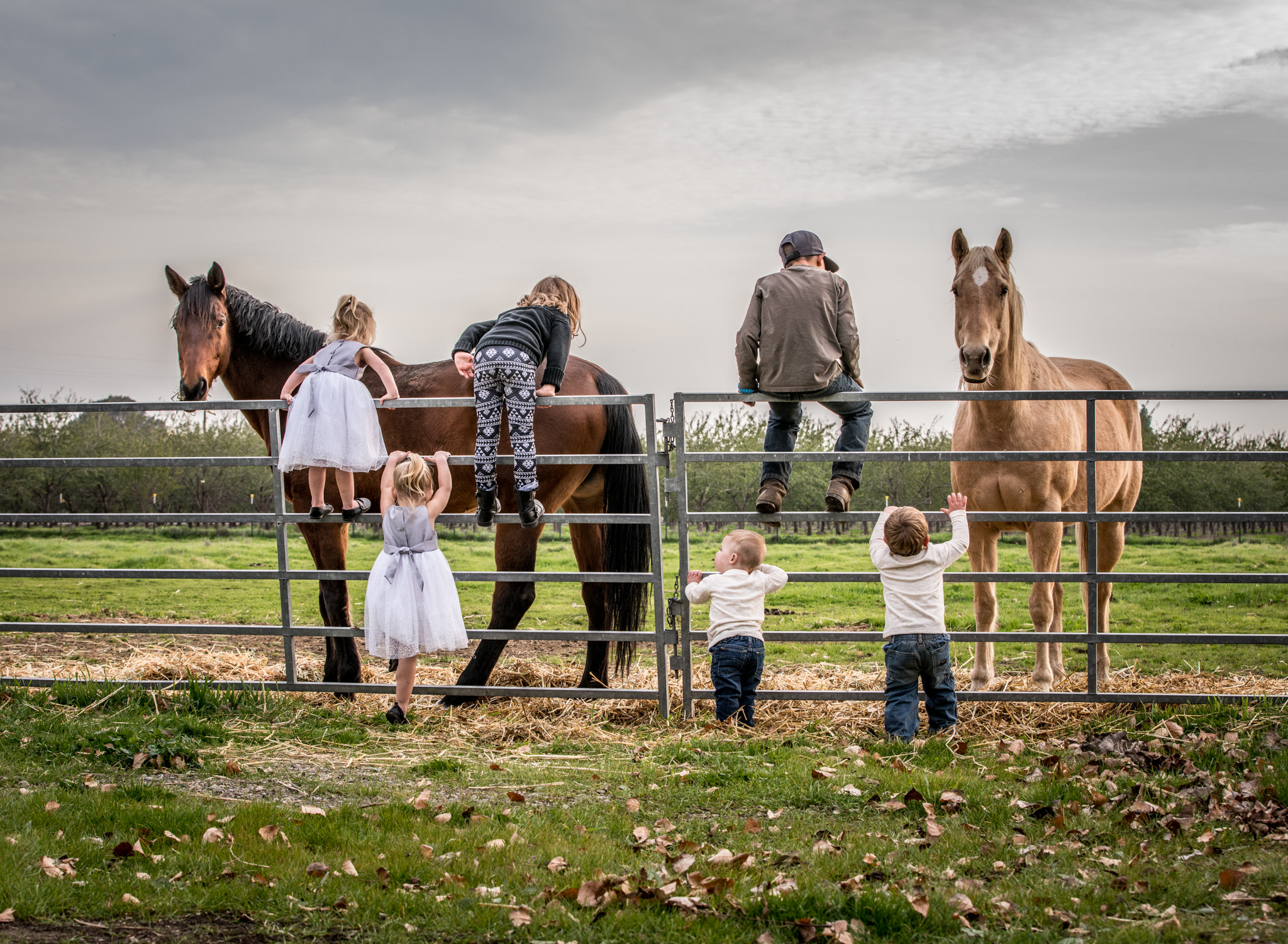 Canon EF 70-200mm F2.8L IS II USM sample photo. Kids and horses photography