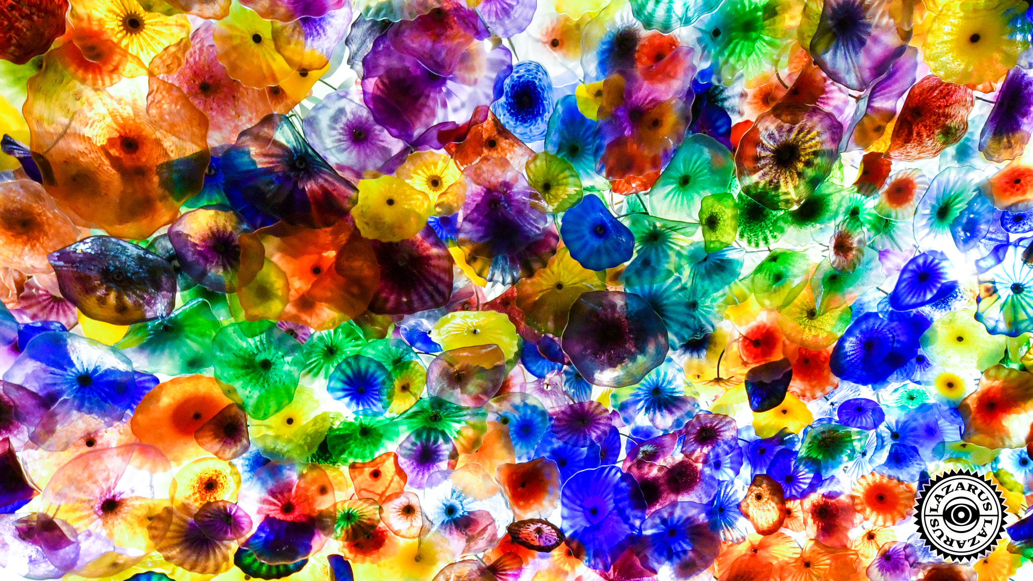 Nikon D500 sample photo. Las vegas, bellagio glass flowers on ceiling photography