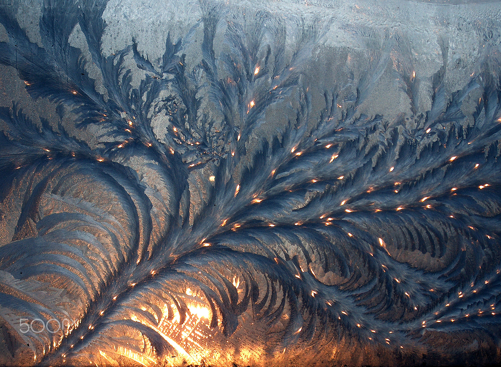 HP PHOTOSMART C935 (V03.60) sample photo. Frost patterns photography