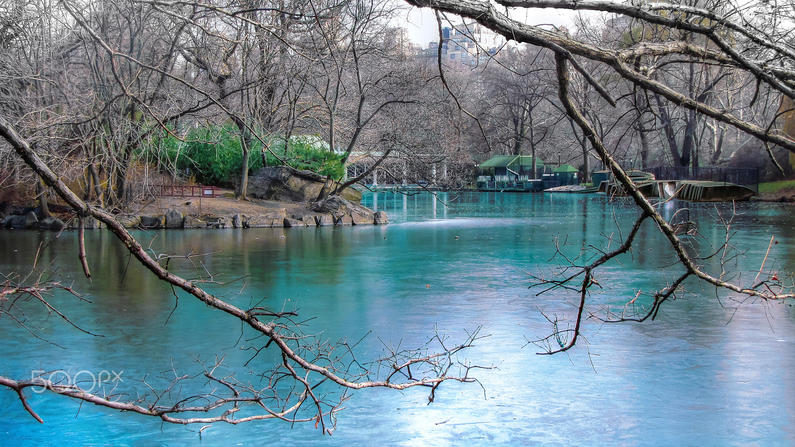 Canon PowerShot SX1 IS sample photo. Frozen lake in central park, new york photography