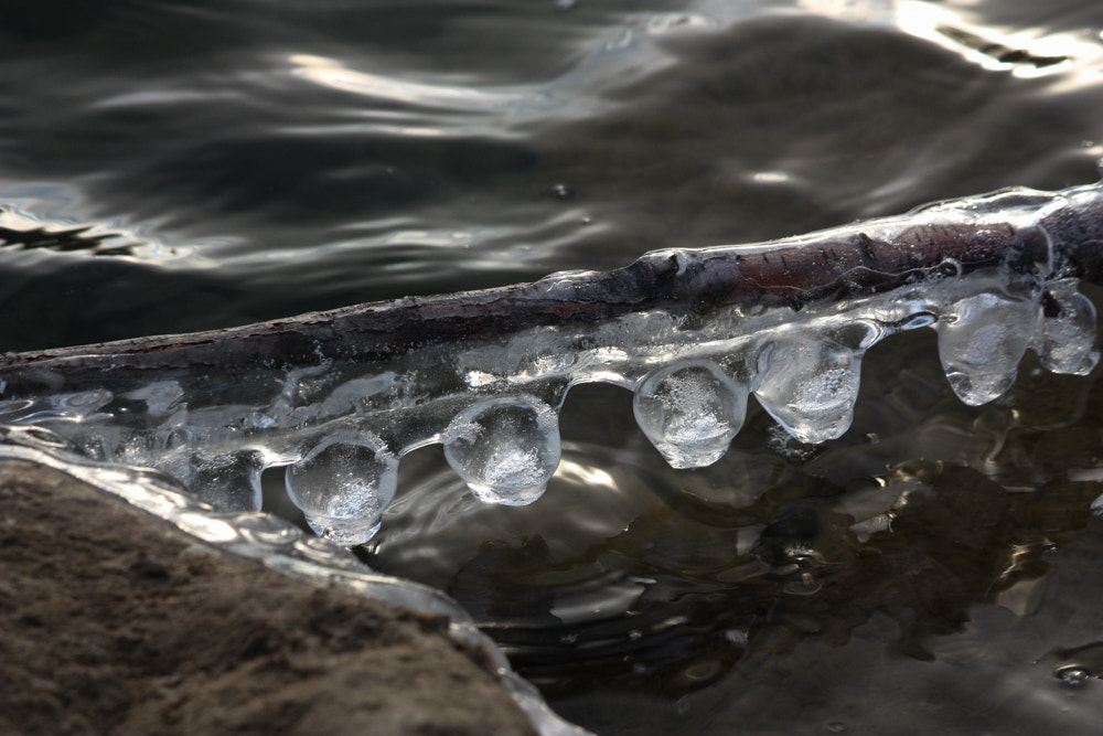 Canon EF-S 55-250mm F4-5.6 IS sample photo. Frozen water droplets photography