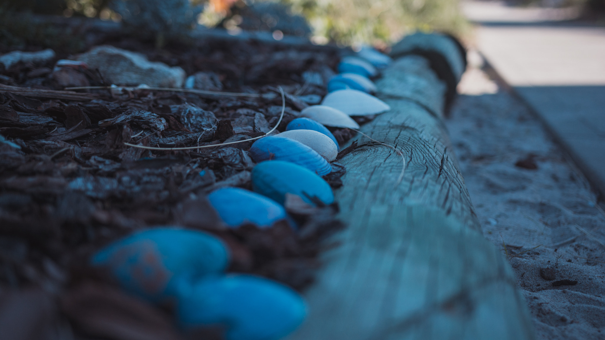 Nikon D5200 + Sigma 18-35mm F1.8 DC HSM Art sample photo. Fireisland photography