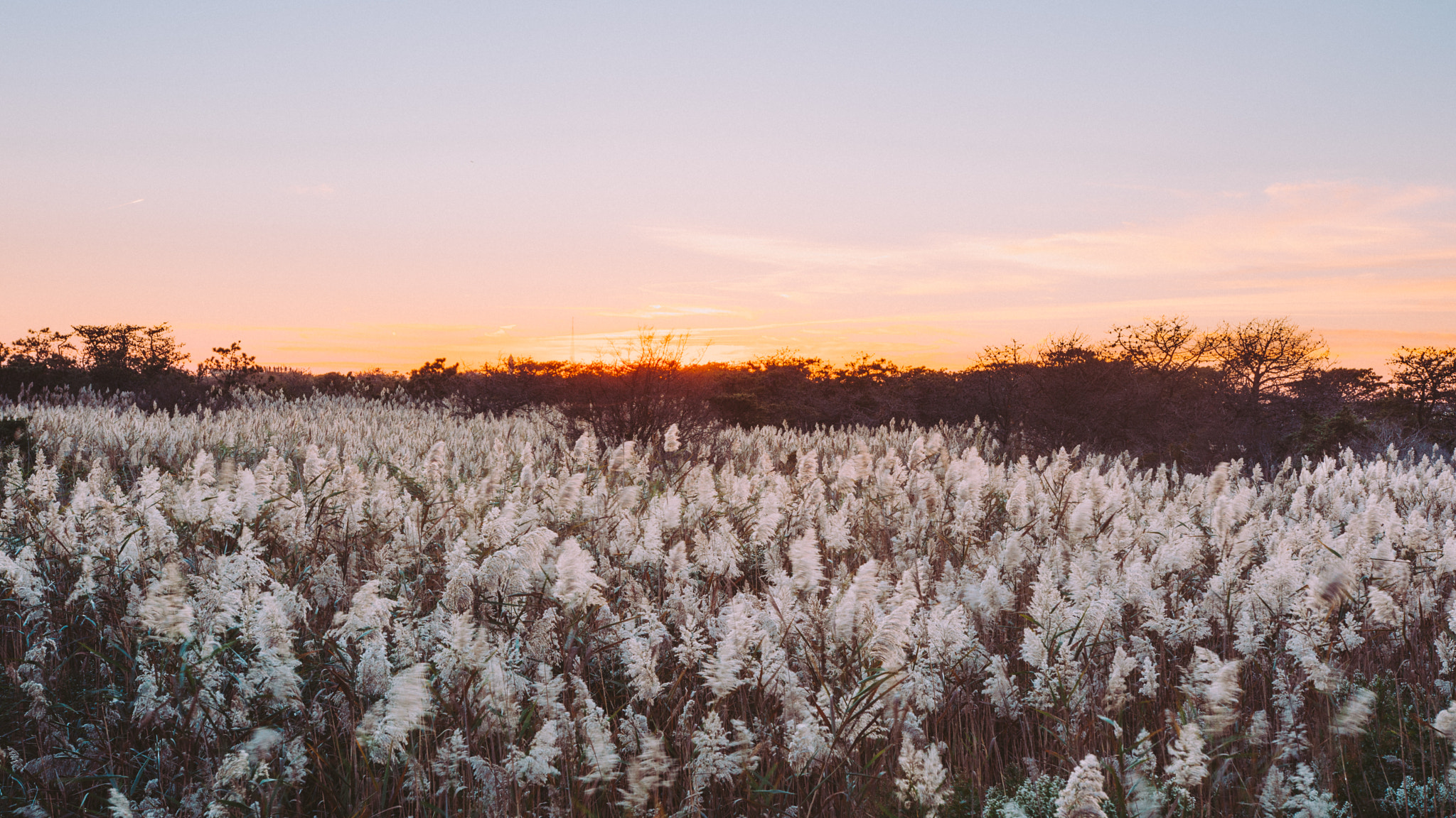 Nikon D5200 + Sigma 18-35mm F1.8 DC HSM Art sample photo. Fireisland photography