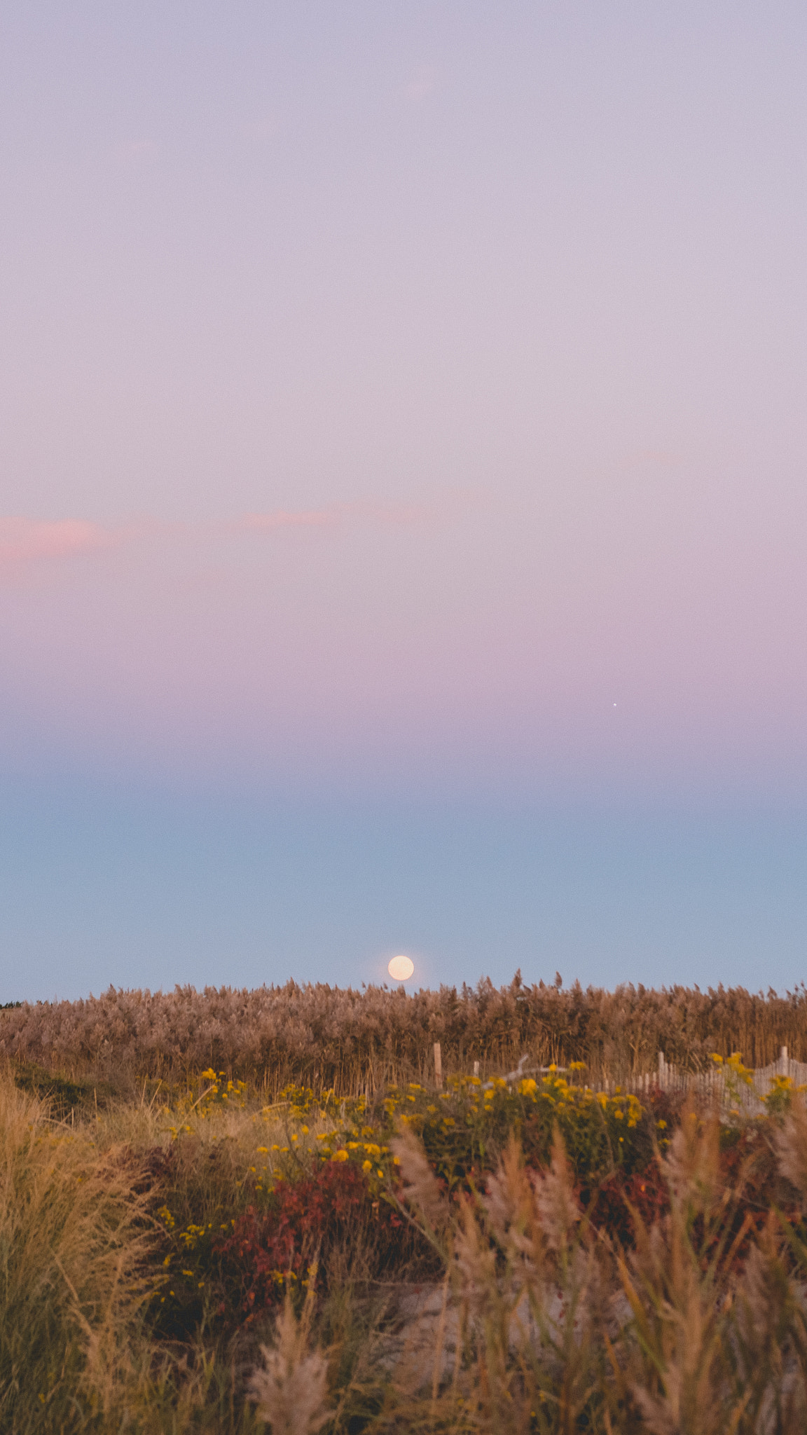 Nikon D5200 + Sigma 18-35mm F1.8 DC HSM Art sample photo. Fireisland photography