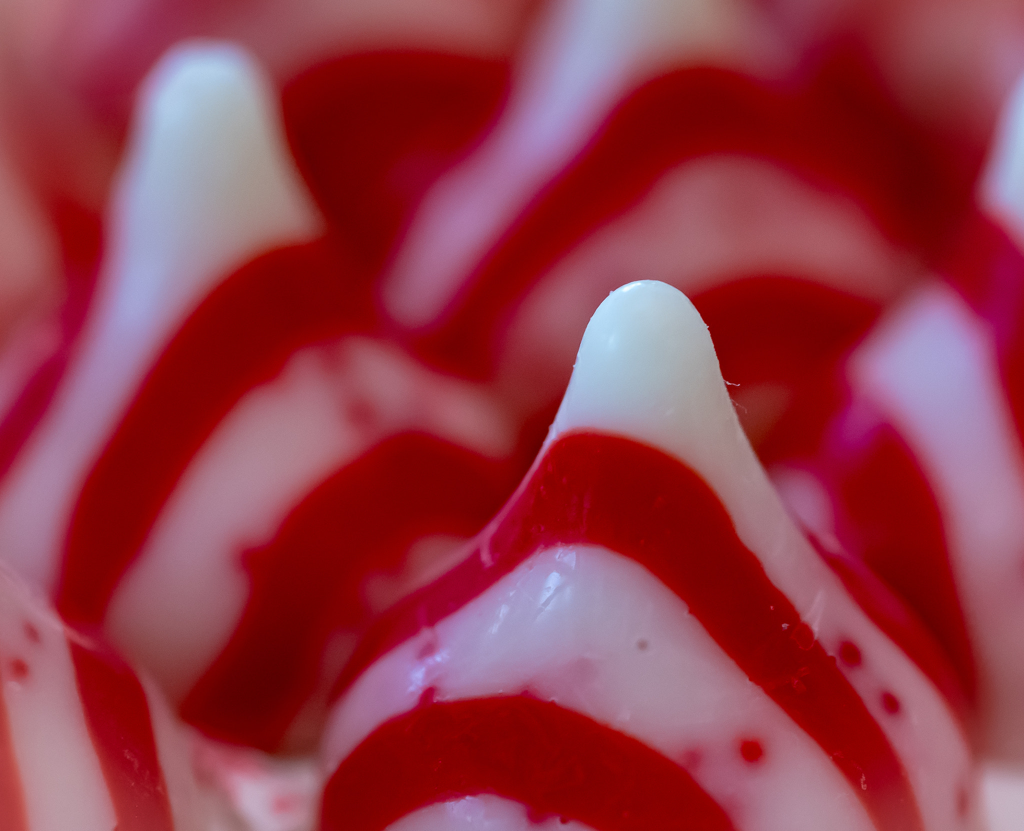 Tokina AT-X Pro 100mm F2.8 Macro sample photo. Peppermint kisses photography