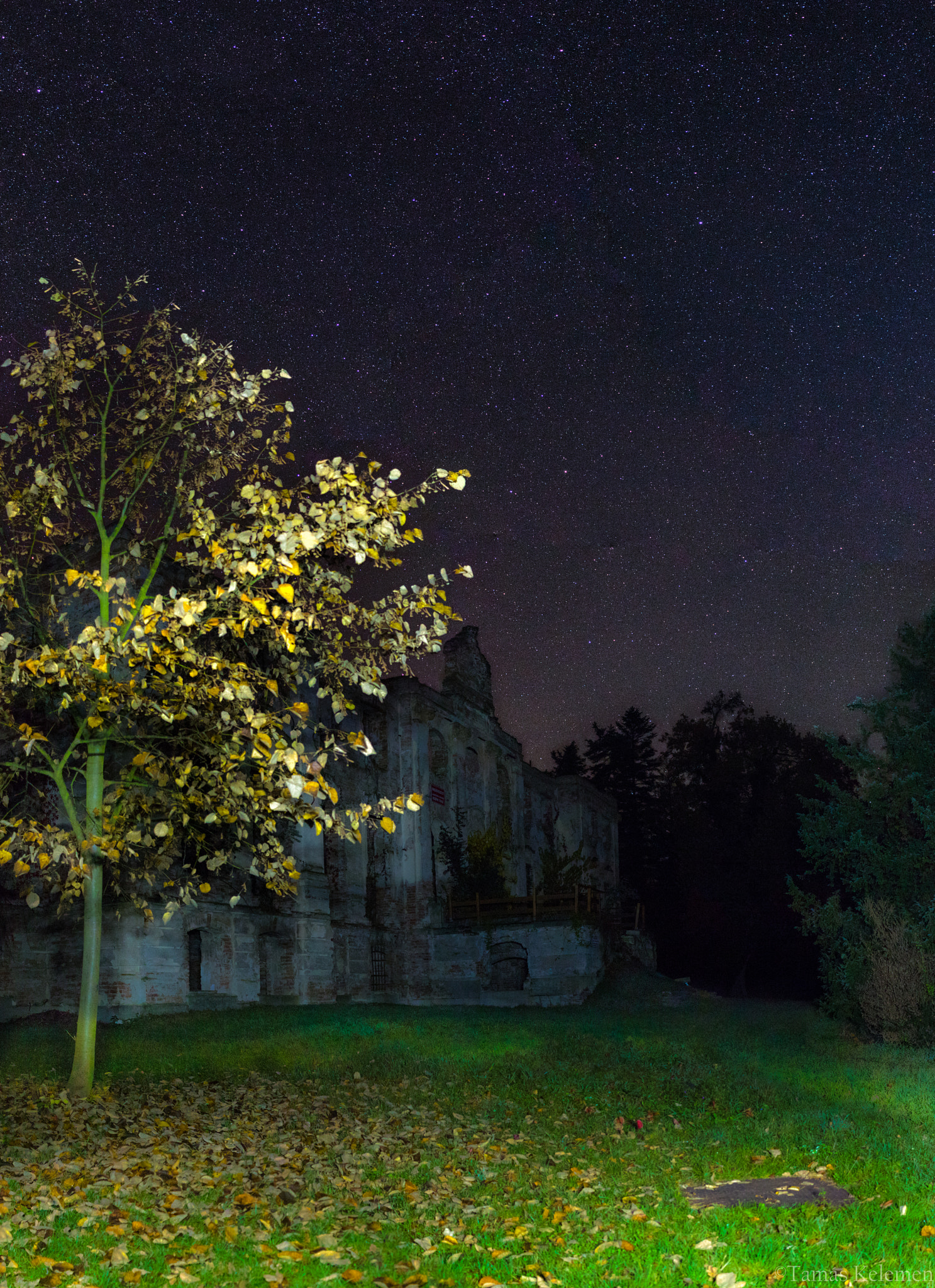 Canon EF-S 24mm F2.8 STM sample photo. Autumn colors photography