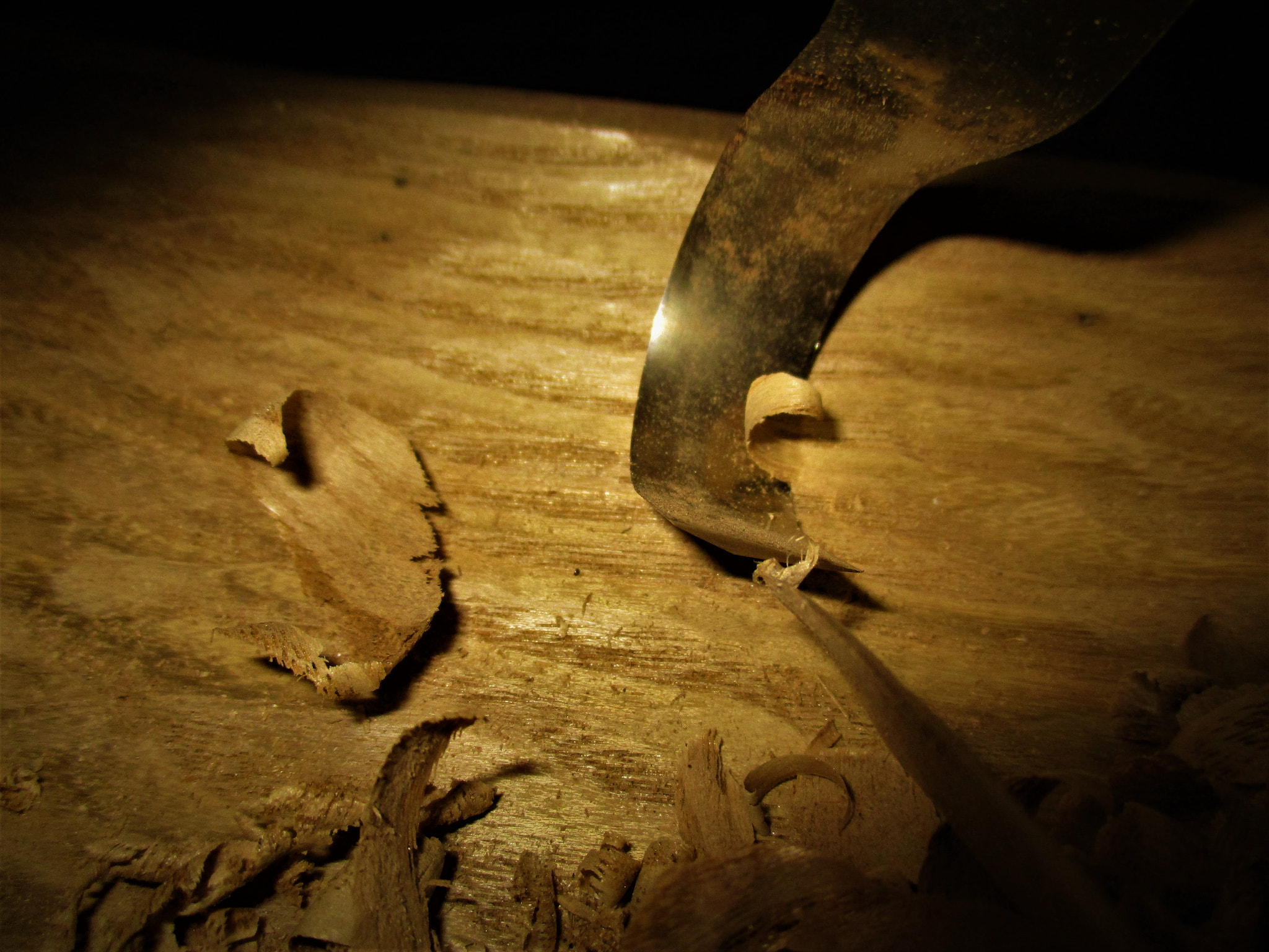 Canon PowerShot ELPH 160 (IXUS 160 / IXY 150) sample photo. Carving photography