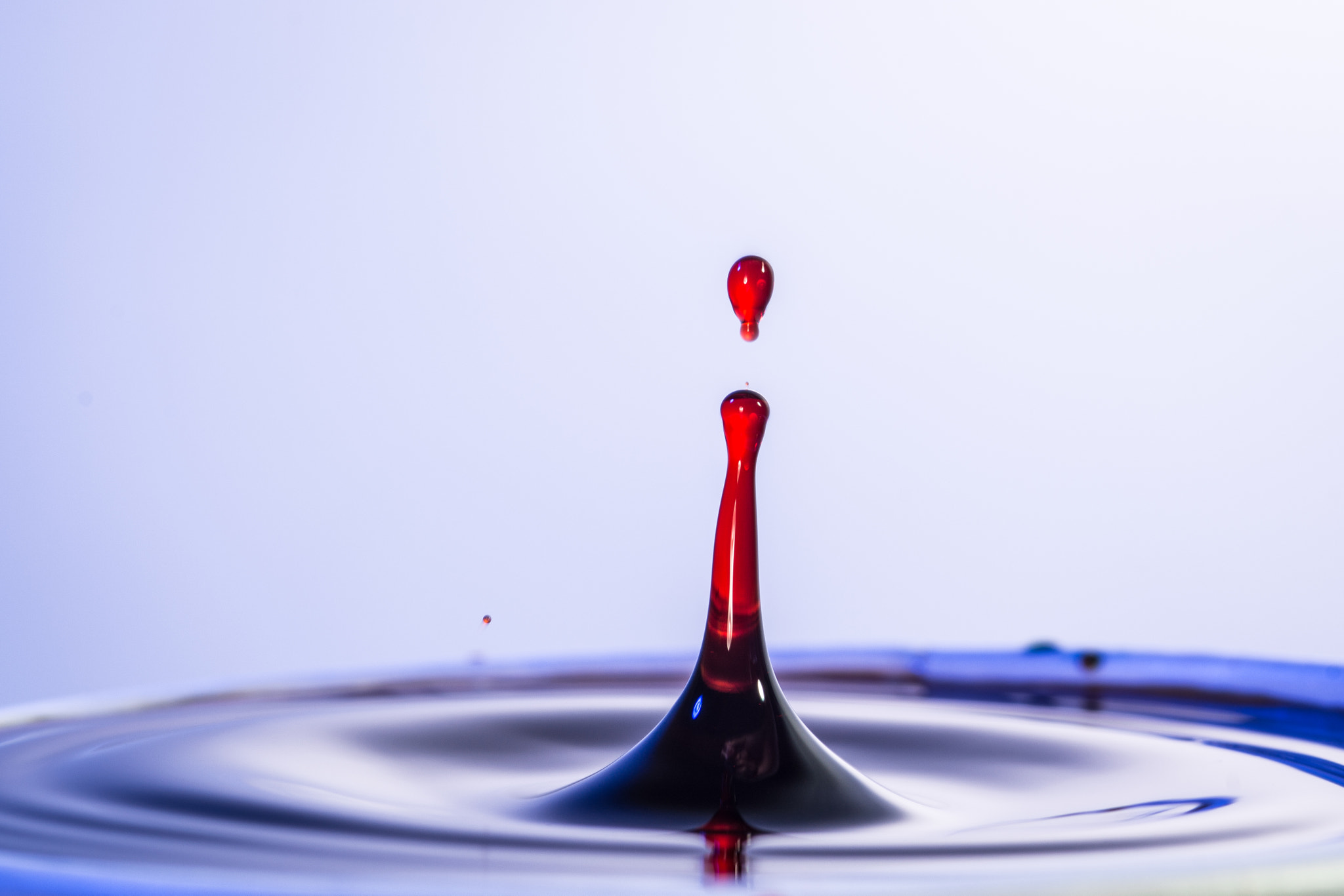Nikon D5200 + AF Micro-Nikkor 105mm f/2.8 sample photo. Water color photography