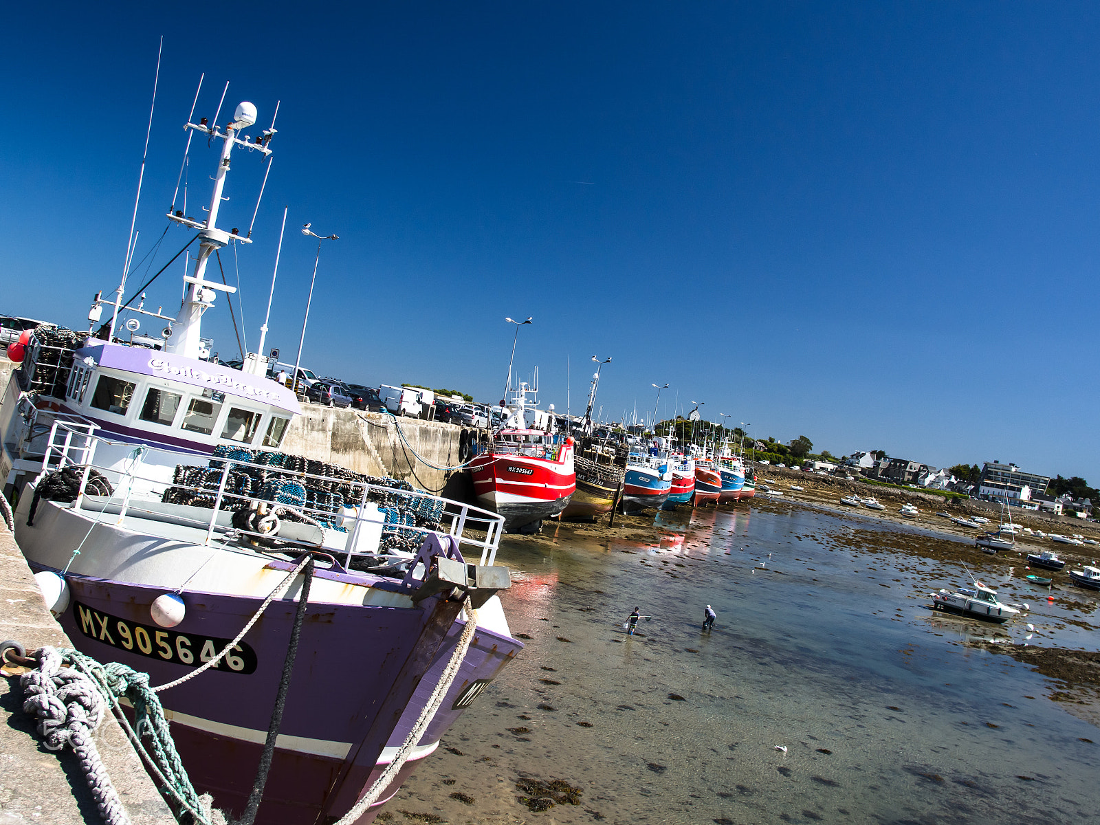 Olympus OM-D E-M5 + Sigma 19mm F2.8 DN Art sample photo. Harvesting docks in roscoff photography