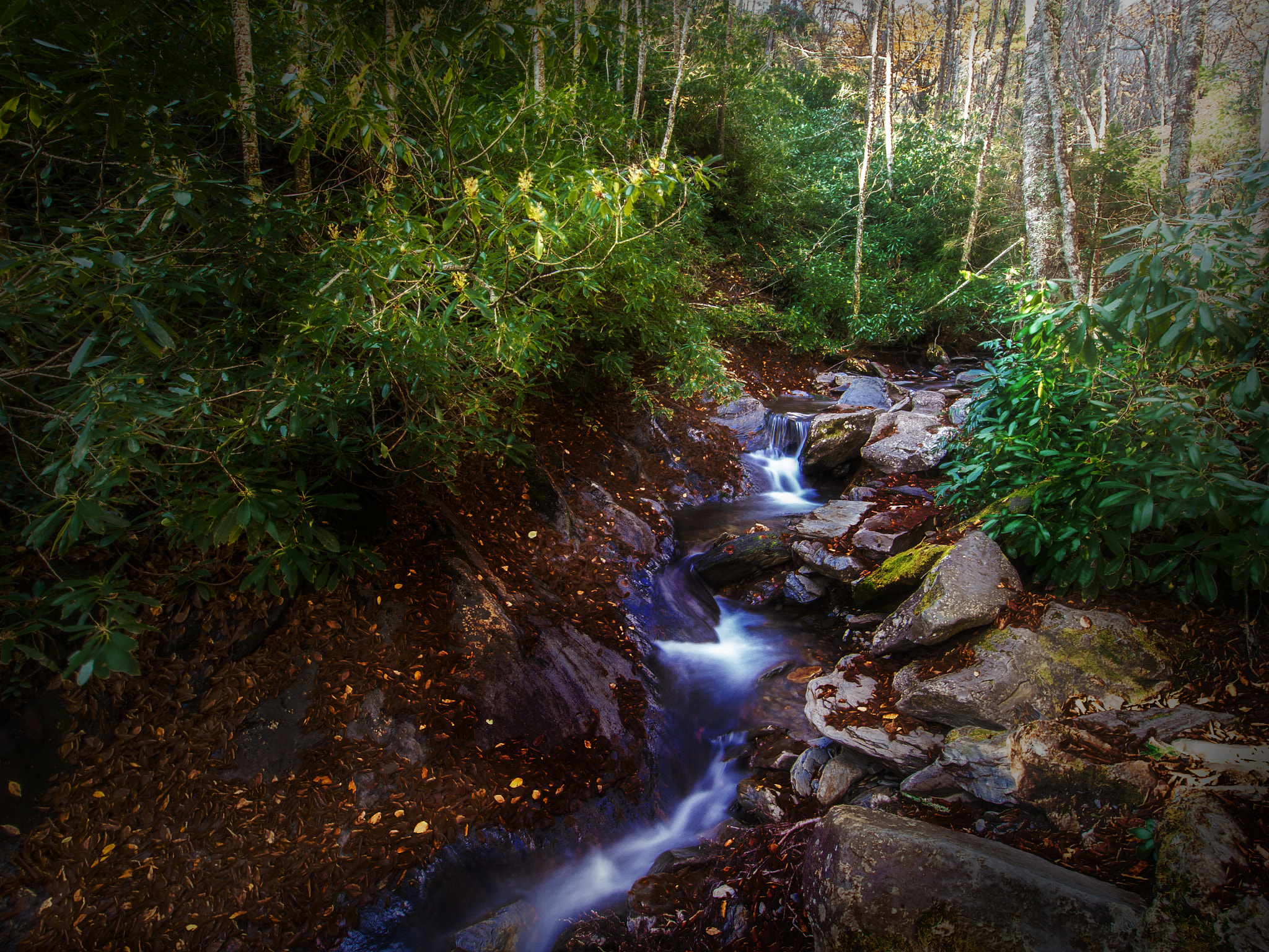 Olympus OM-D E-M5 + OLYMPUS M.9-18mm F4.0-5.6 sample photo. Crickle creek and a splash of red photography