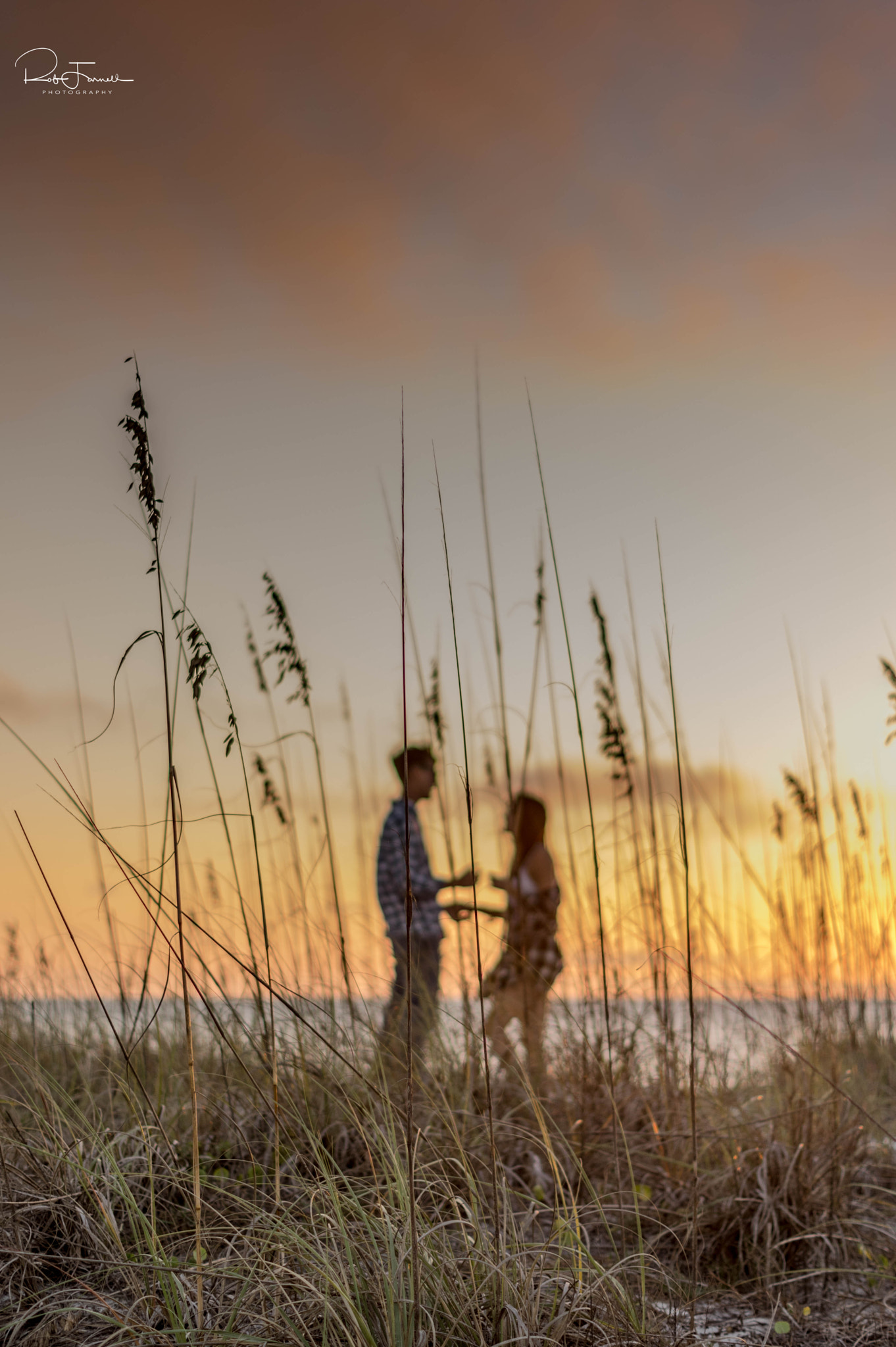 Pentax K-3 sample photo. Young love. photography