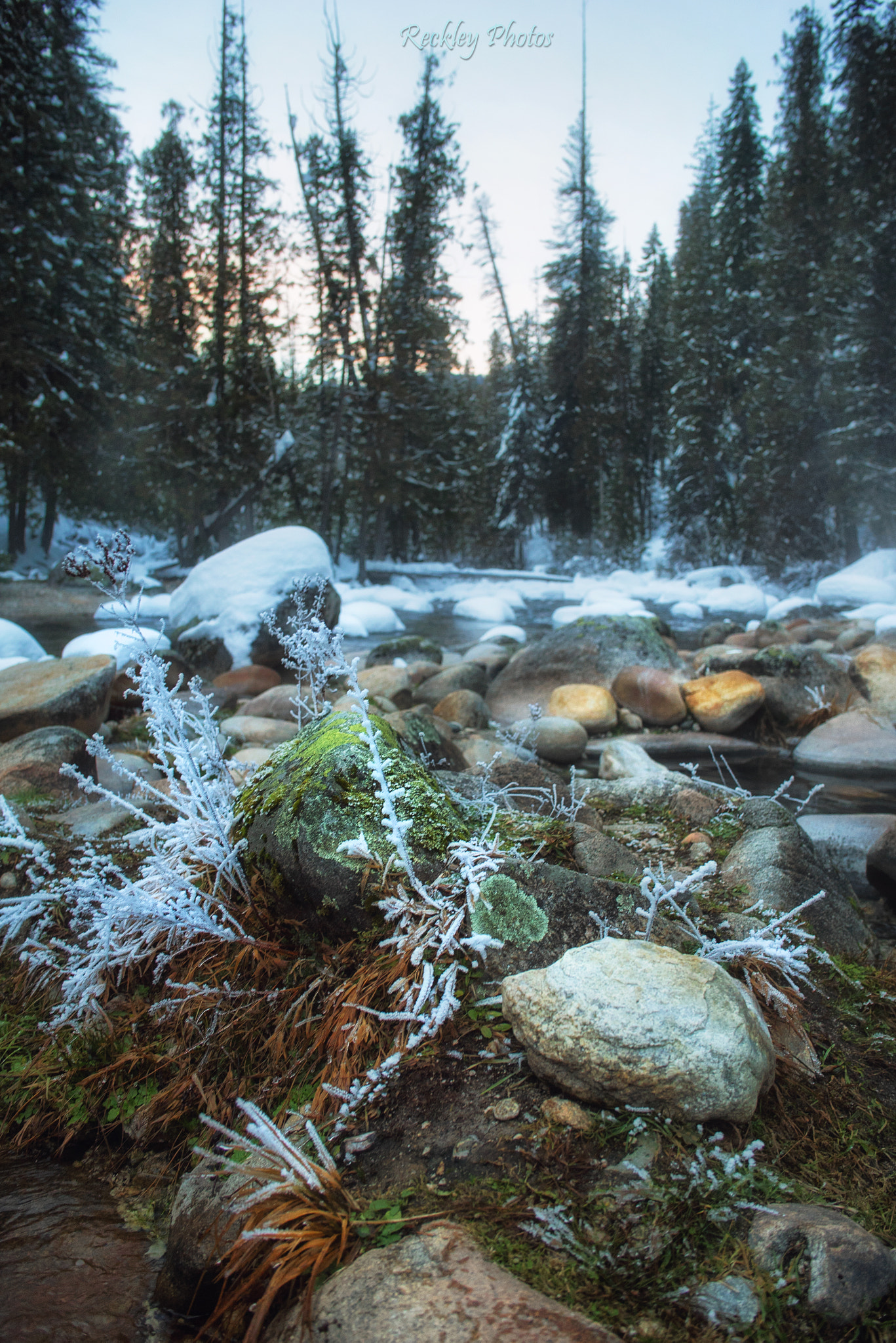 Sony a7S + Minolta AF 28-70mm F2.8 G sample photo. Frozen and thawed photography