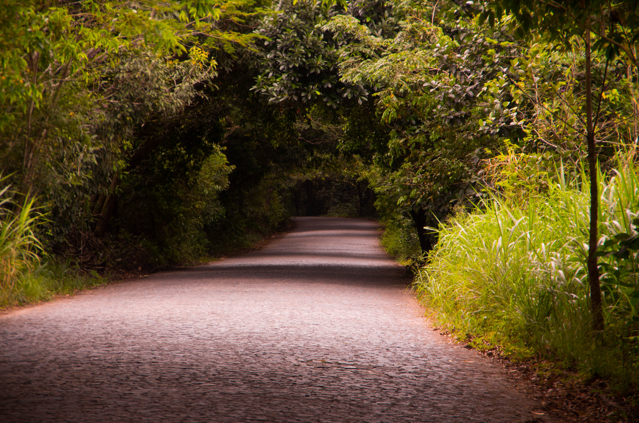 Pentax K-5 II sample photo