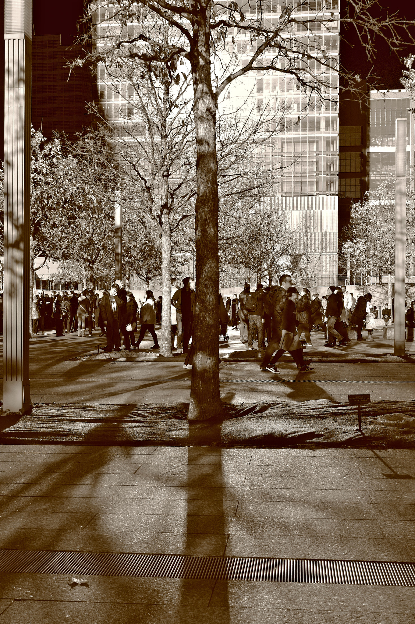 Pentax K-3 II sample photo. People, 9/11 plaza, wtc 7 and trees photography