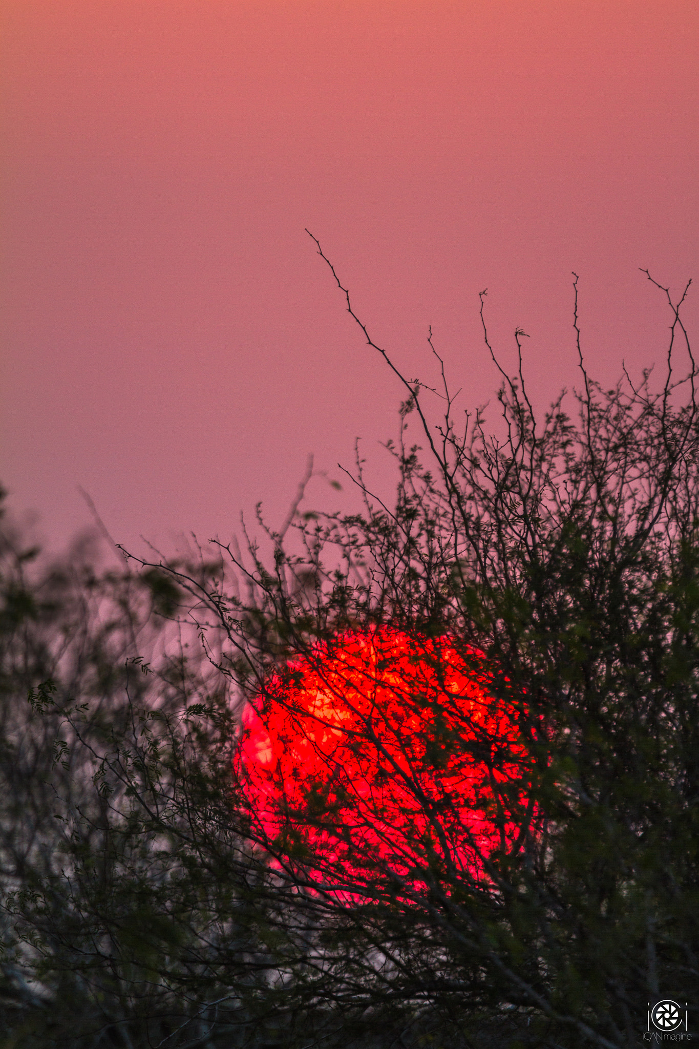 Canon EOS 7D sample photo. Mesquite sunset photography