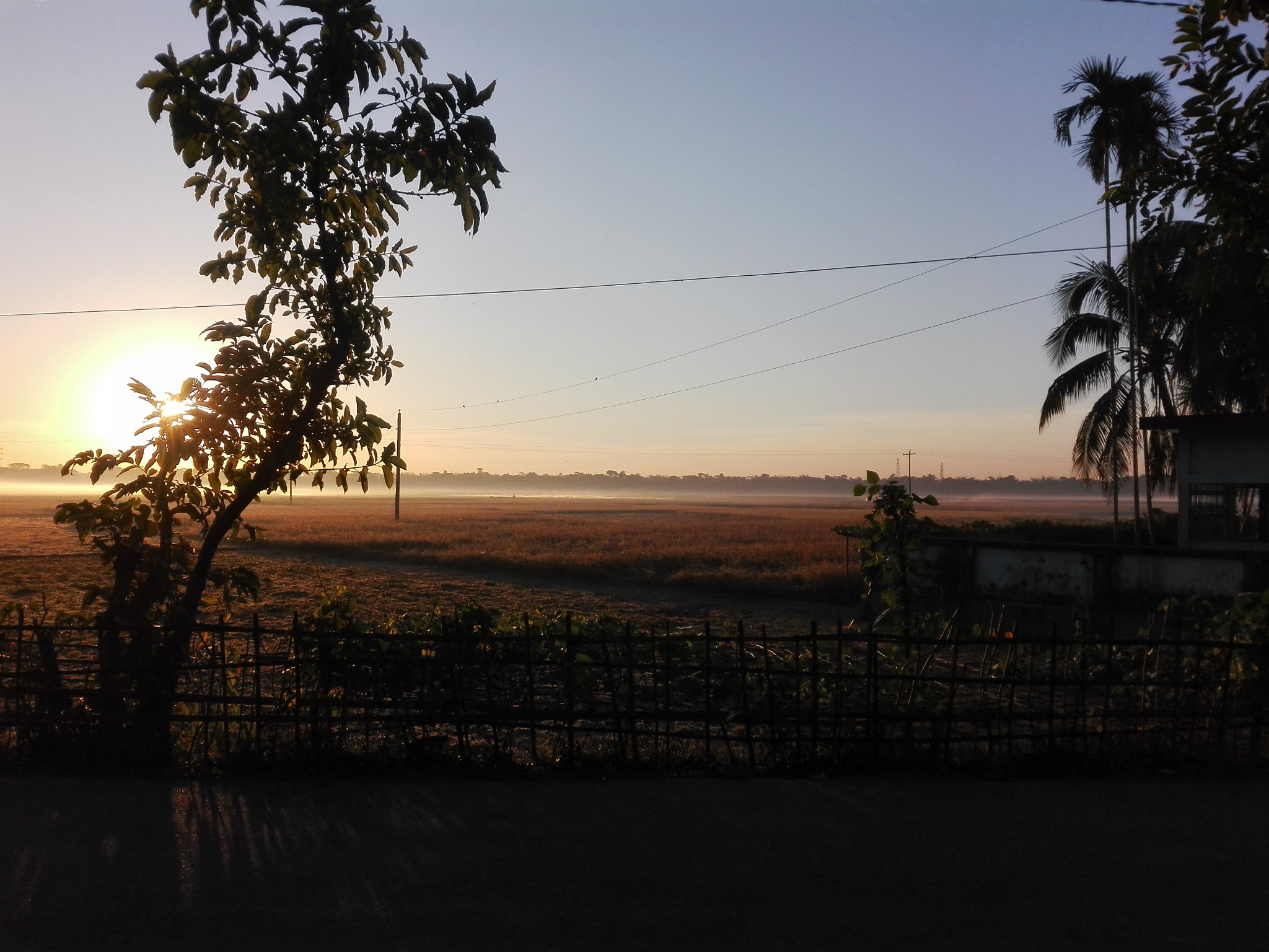 HUAWEI Cherry Mini sample photo. Winter morning photography