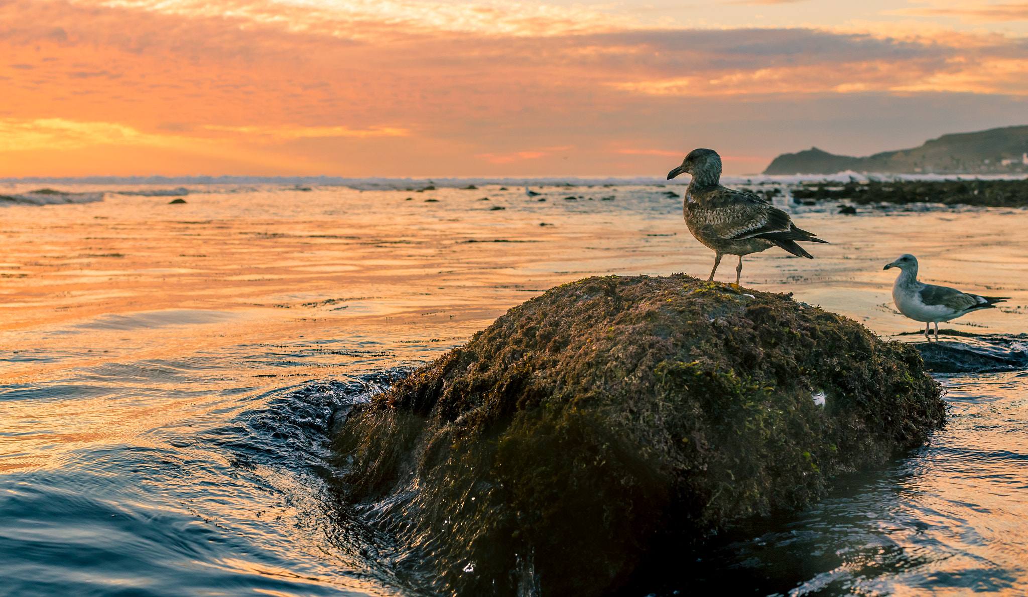 Canon EF 50mm F1.2L USM sample photo. Ensenada mexico 3m photography