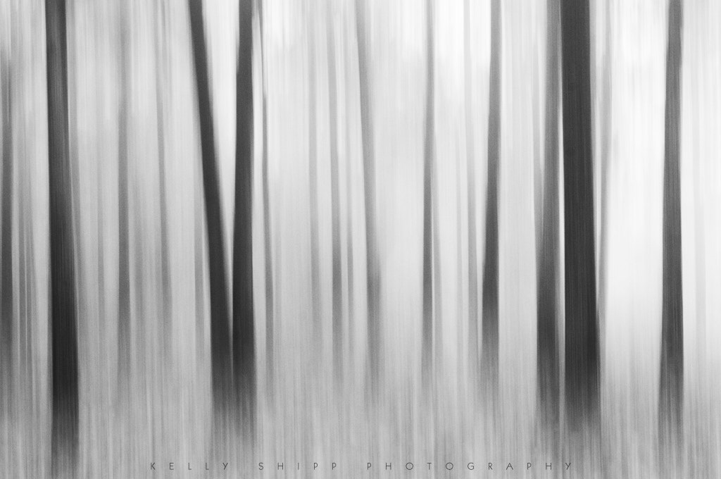 Nikon AF-Nikkor 80-200mm F2.8D ED sample photo. Dreams in morning fog photography