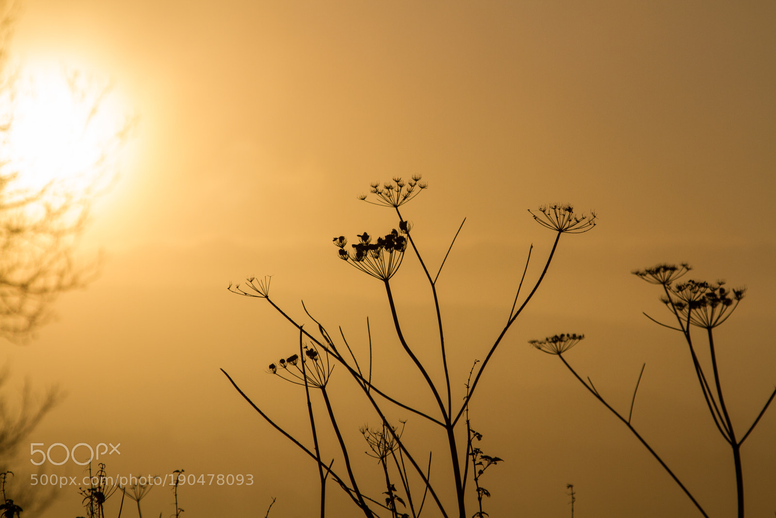 Canon EOS 7D sample photo. Untitled photography