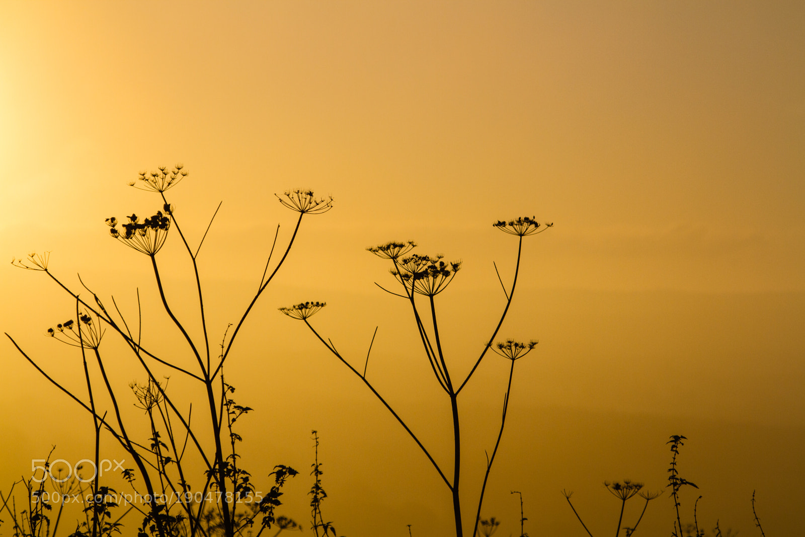 Canon EOS 7D sample photo. Untitled photography