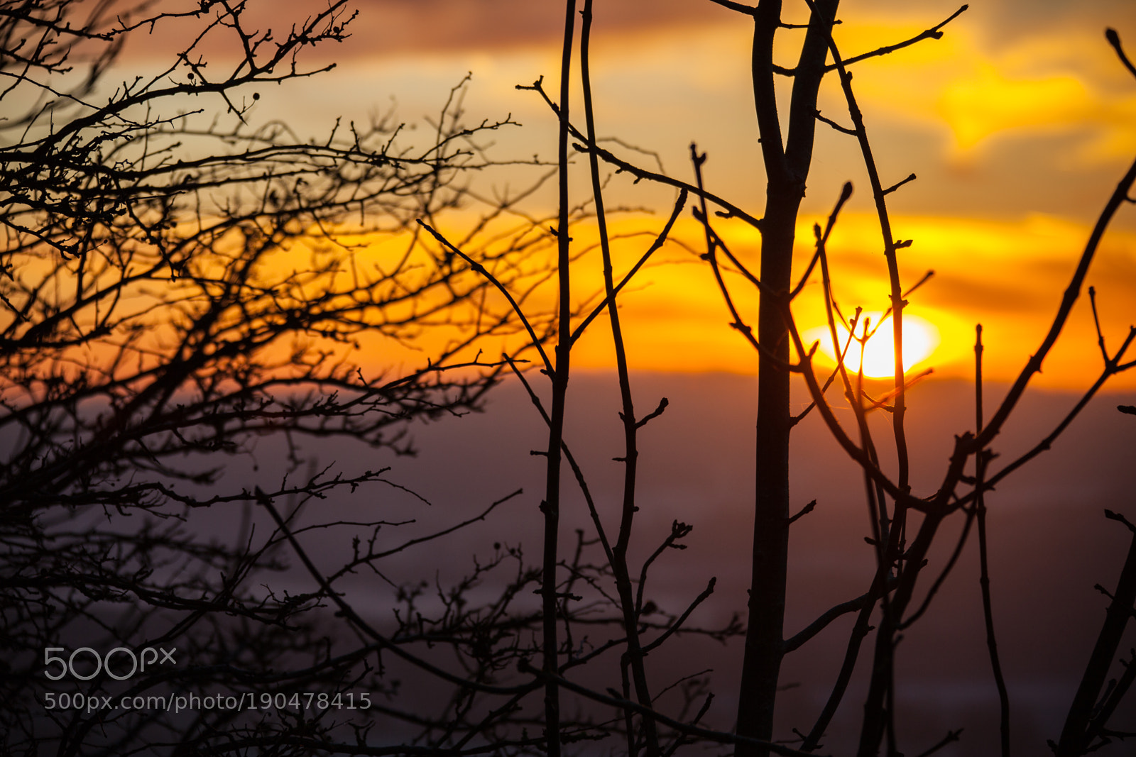 Canon EOS 5D Mark II sample photo. Untitled photography